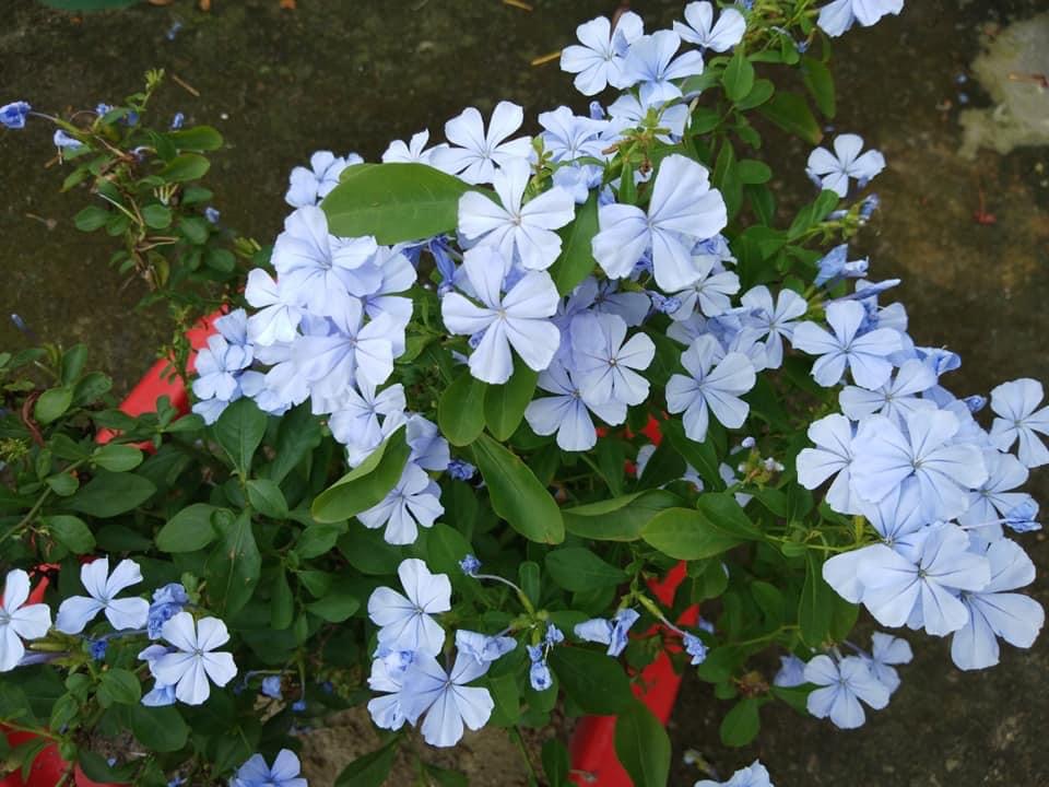 64F1C985-2651-4F2F-8E2E-6F8302CA6D72.jpeg