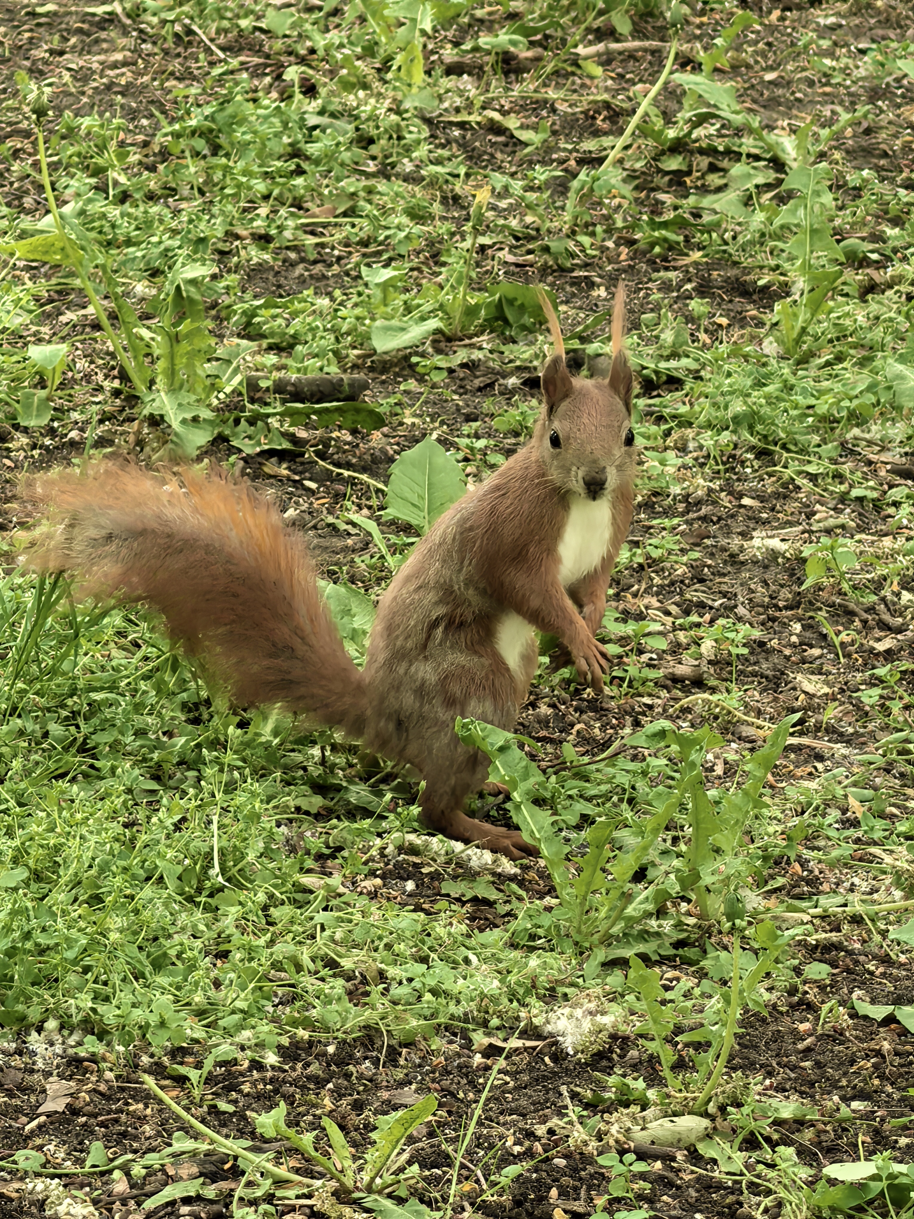 img_20250503_121210.jpg