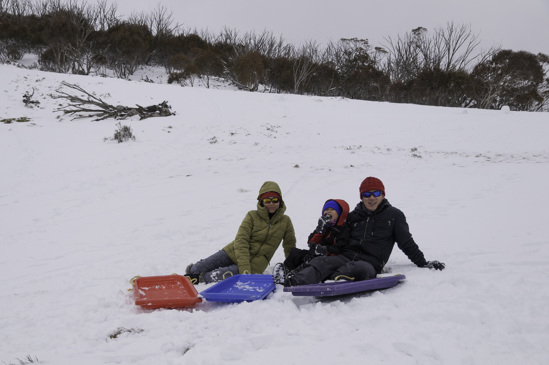 Family tobogganing