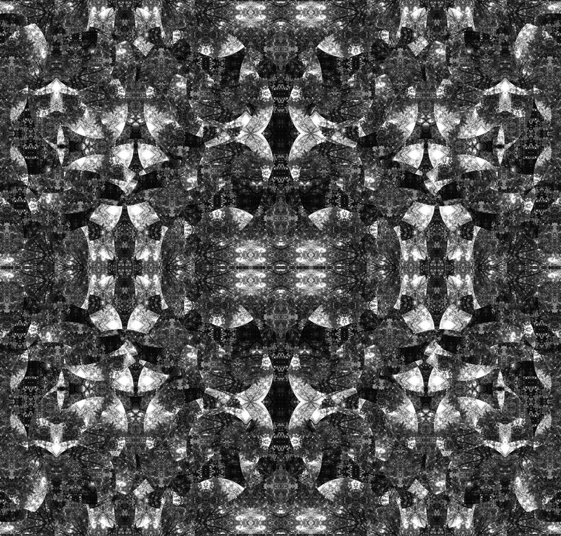 x14_resize.jpg