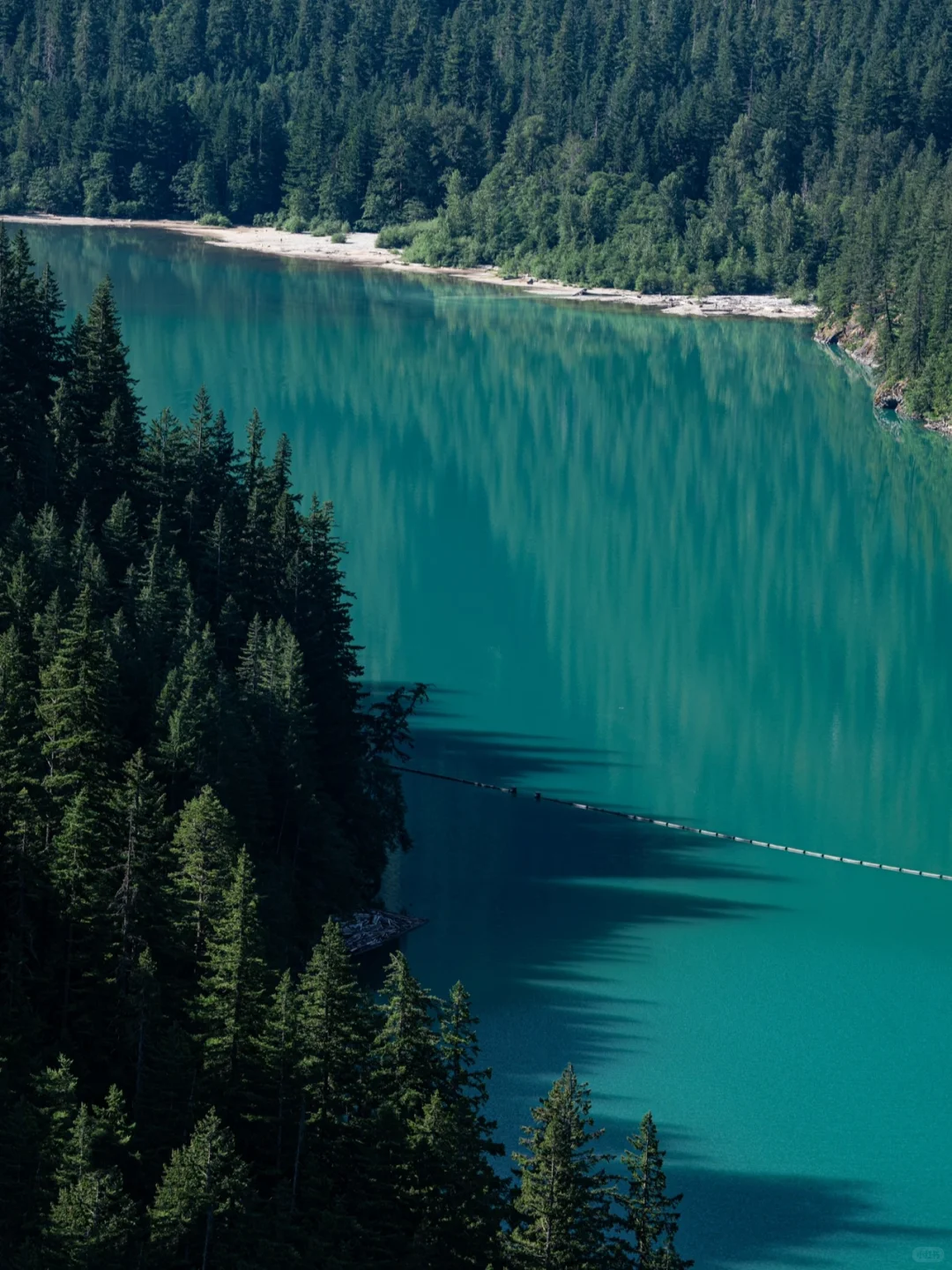 231.webp