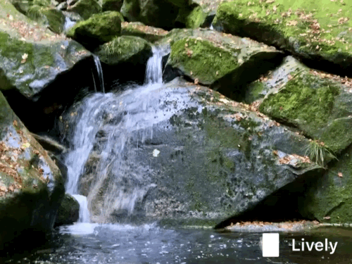 C15861BB-DF22-4B02-B9AF-E93F34712743.gif