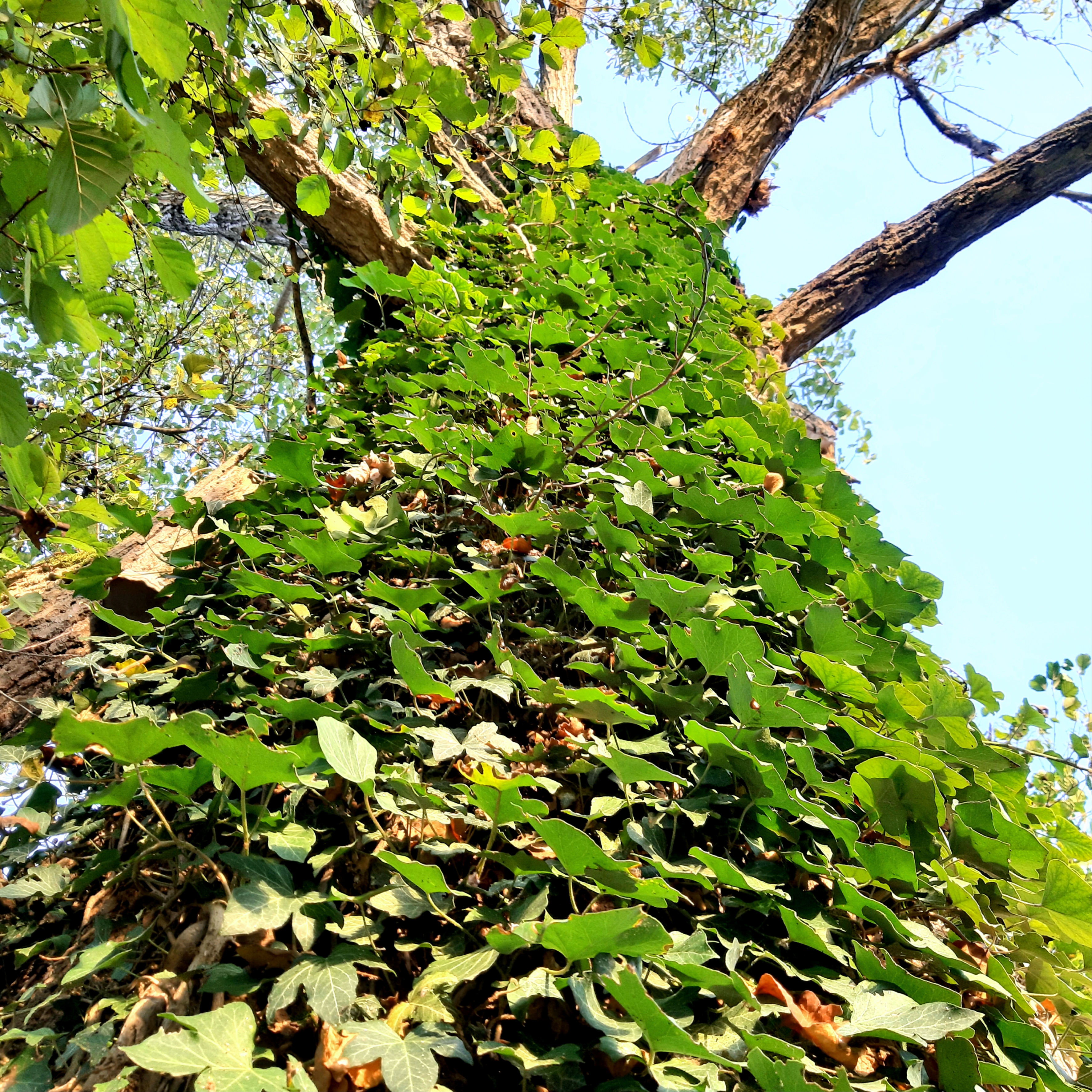 20191027_075434.jpg