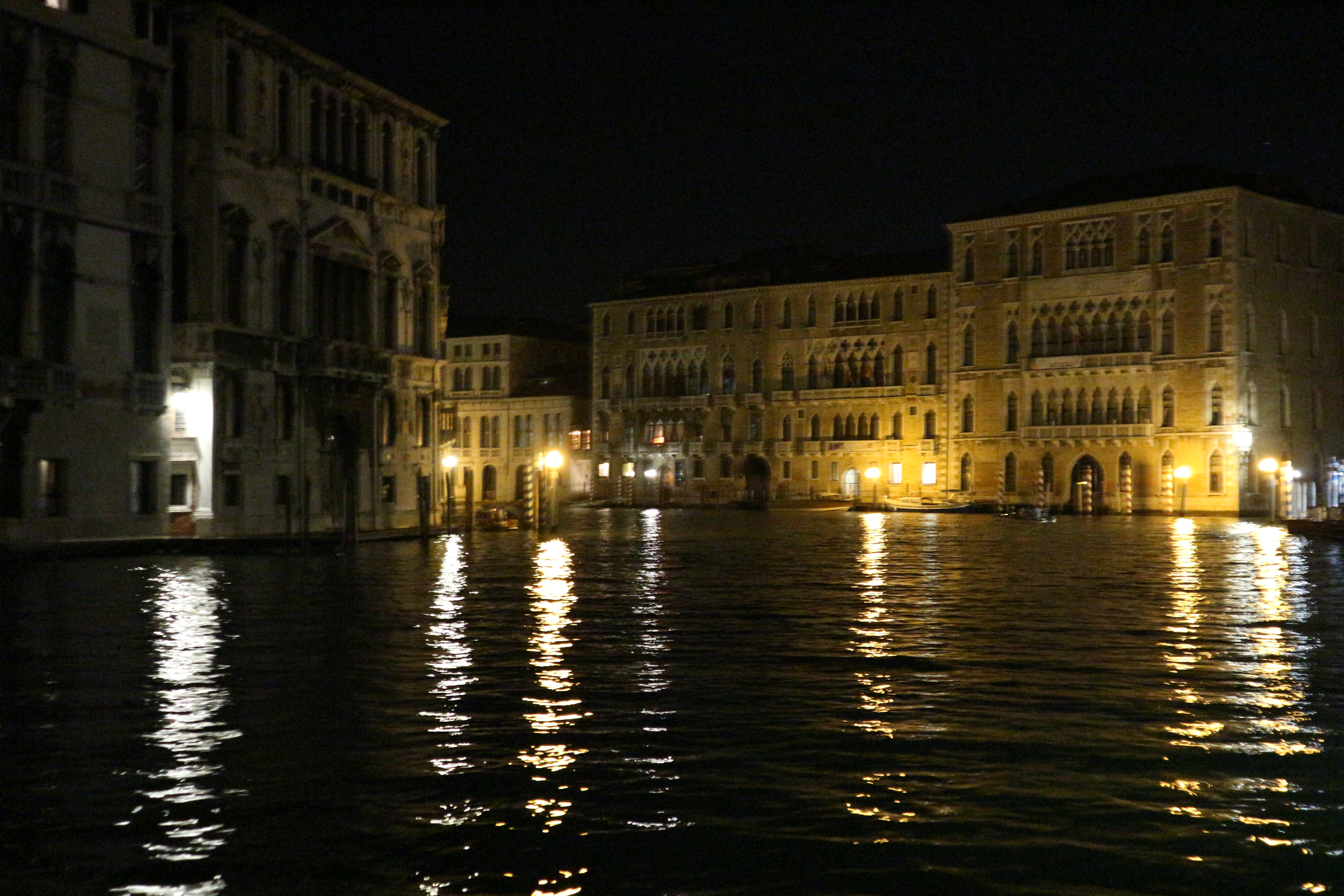 IMG_1285.JPG