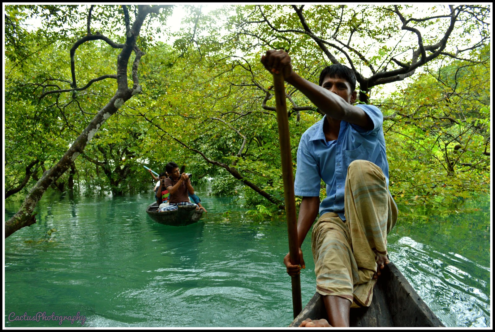 Ratargul Swamp Forest, Sylhet(9).jpg