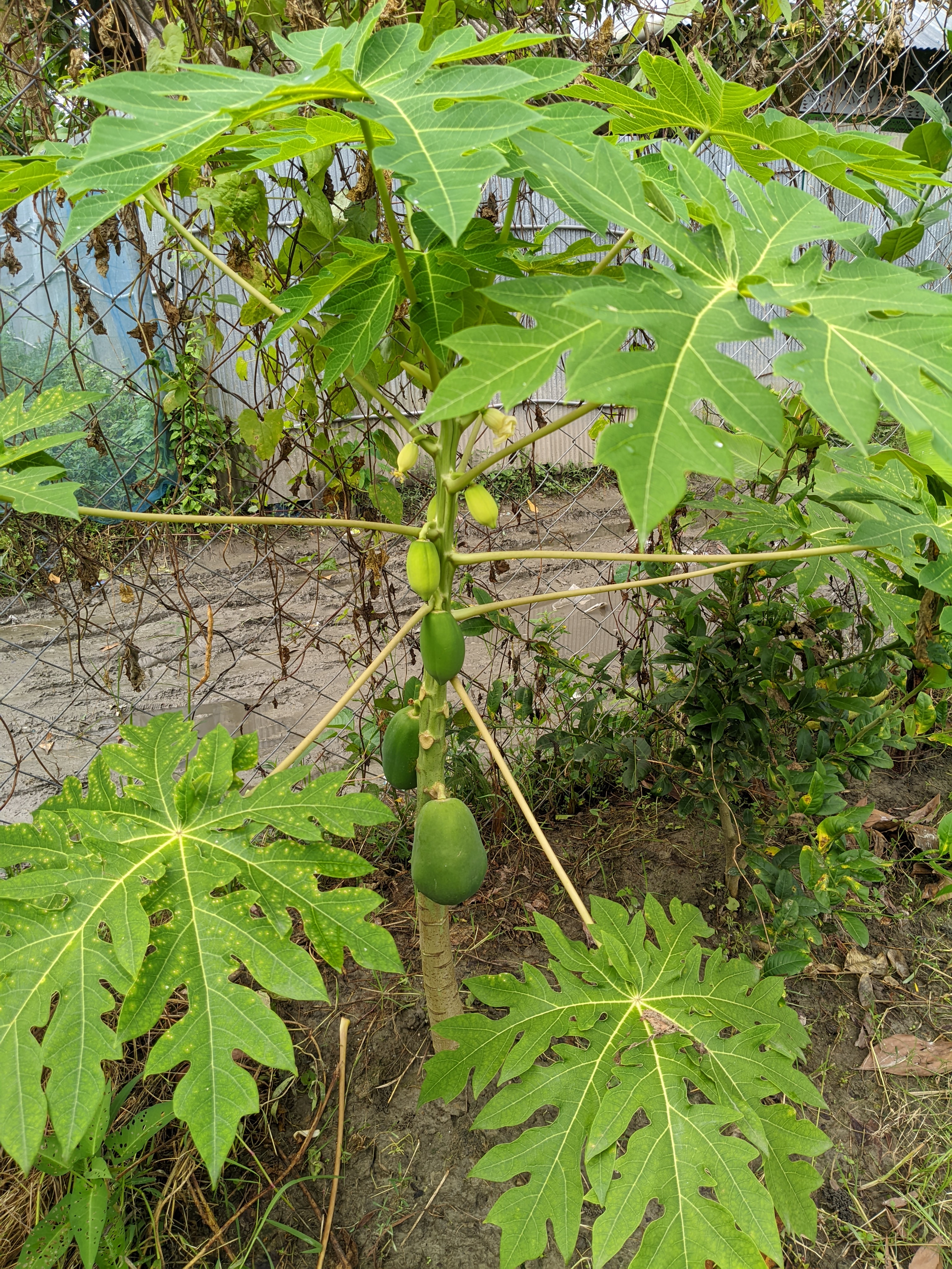 LMC_20260731_0853430570.jpg