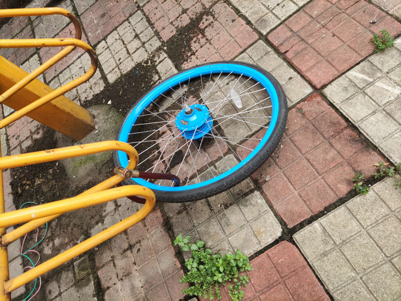 002.jpg