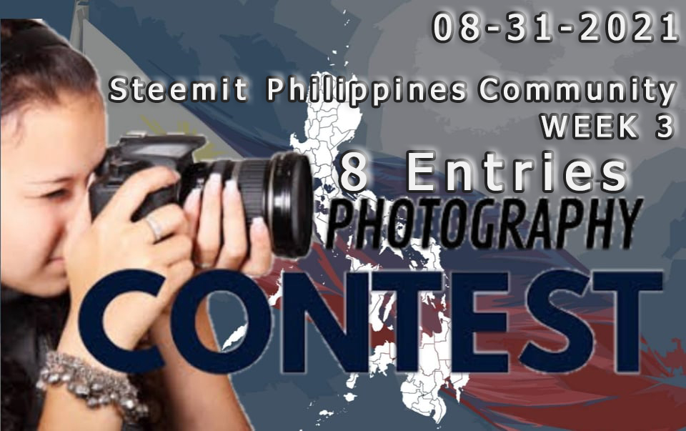 photography contes Week 3 (08-31).jpg