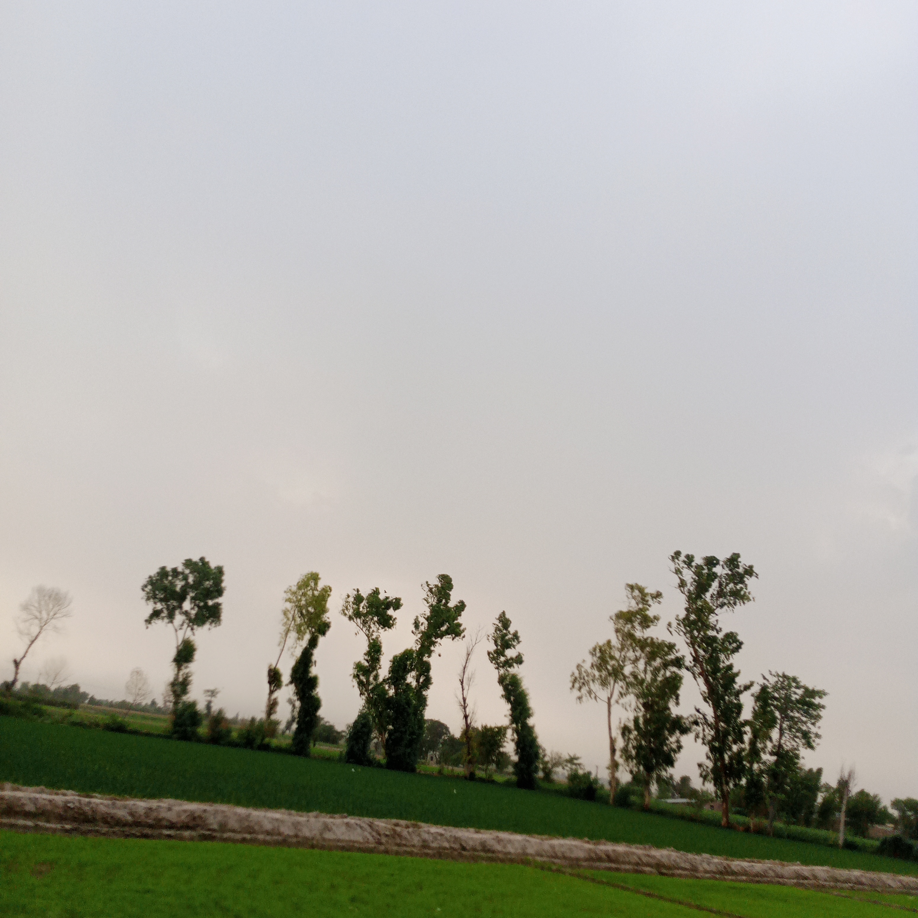 IMG_20260624_172721_483.jpg