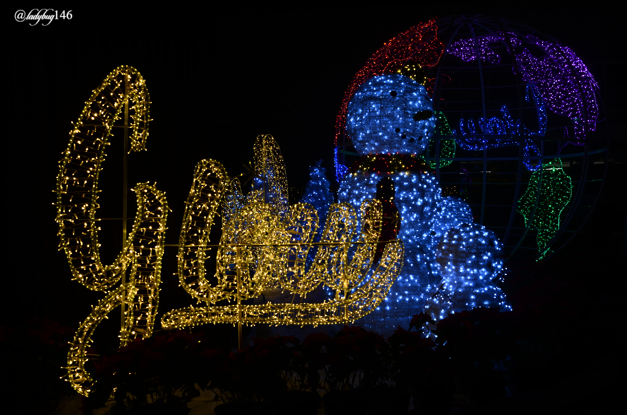 glow3.jpg