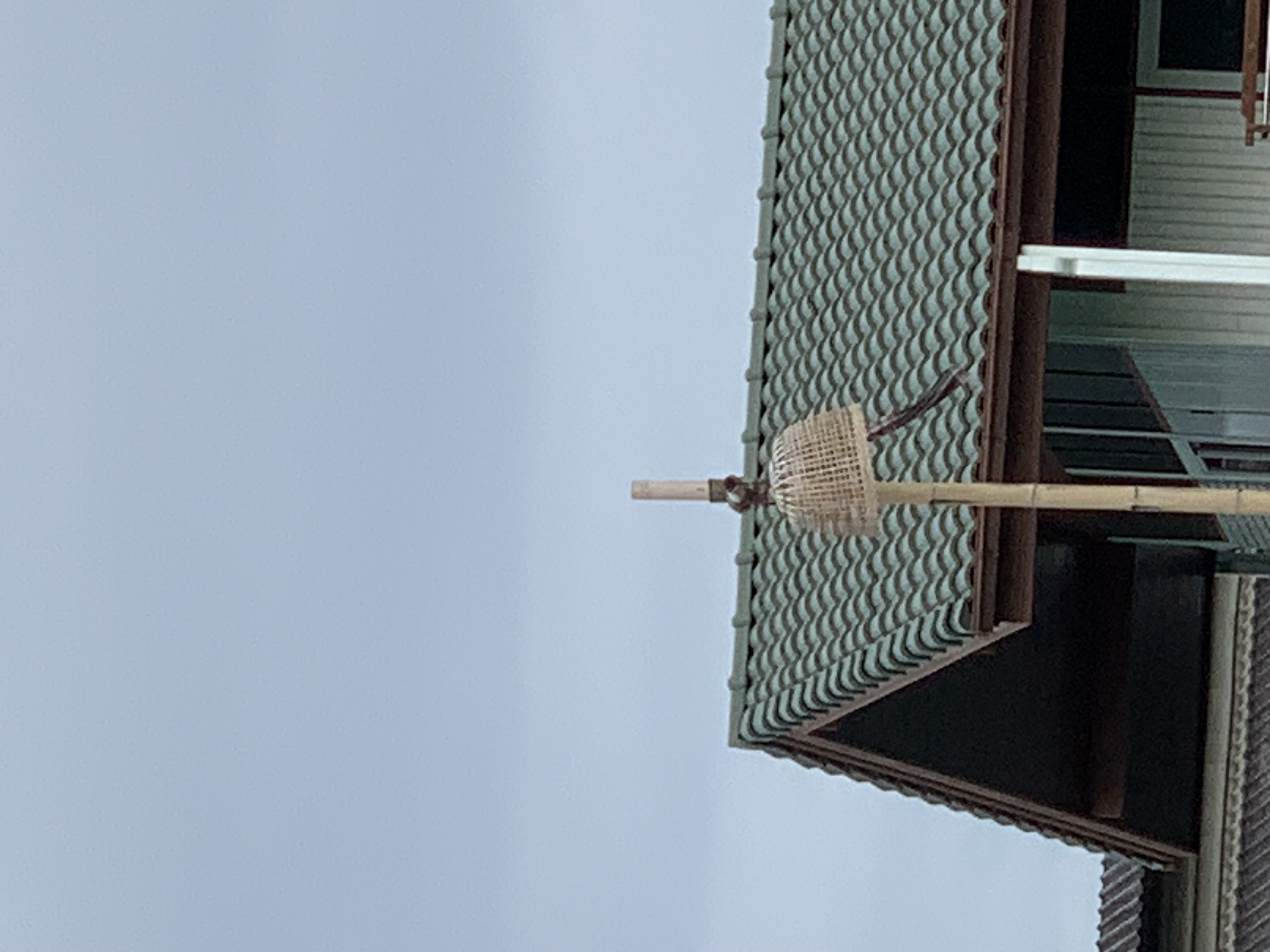 bamboo lantern2.jpg