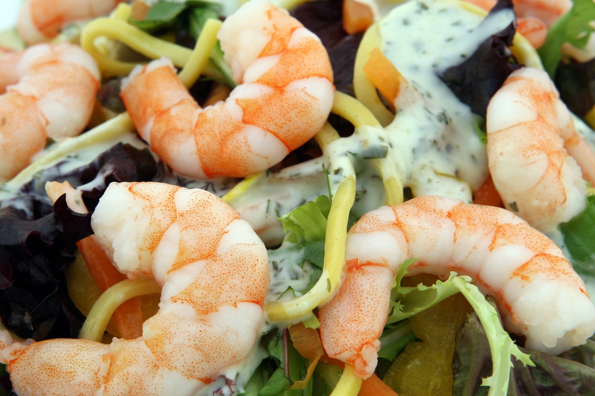 prawn-1239427_1920.jpg