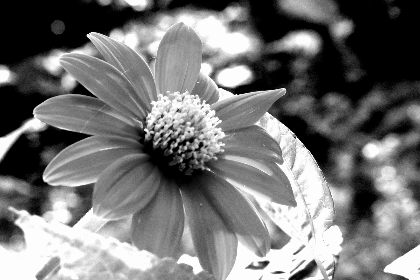 20180908_070138.jpg