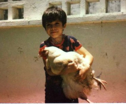 pollito2.jpg