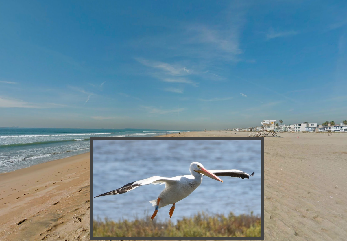 huntington-beach-bolsa-chica-sunset-i-j.png