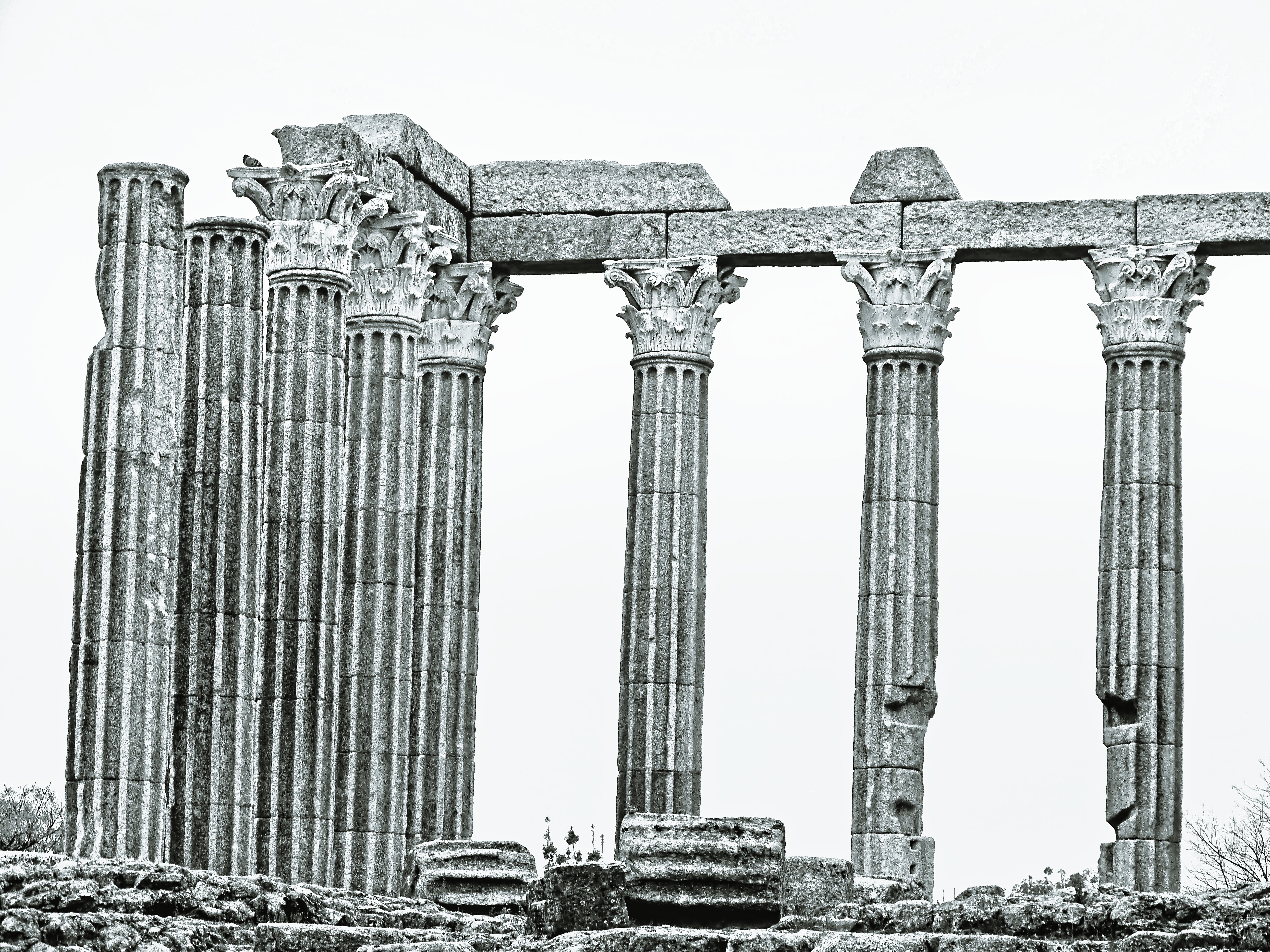 DSC04657_2 (2).jpg