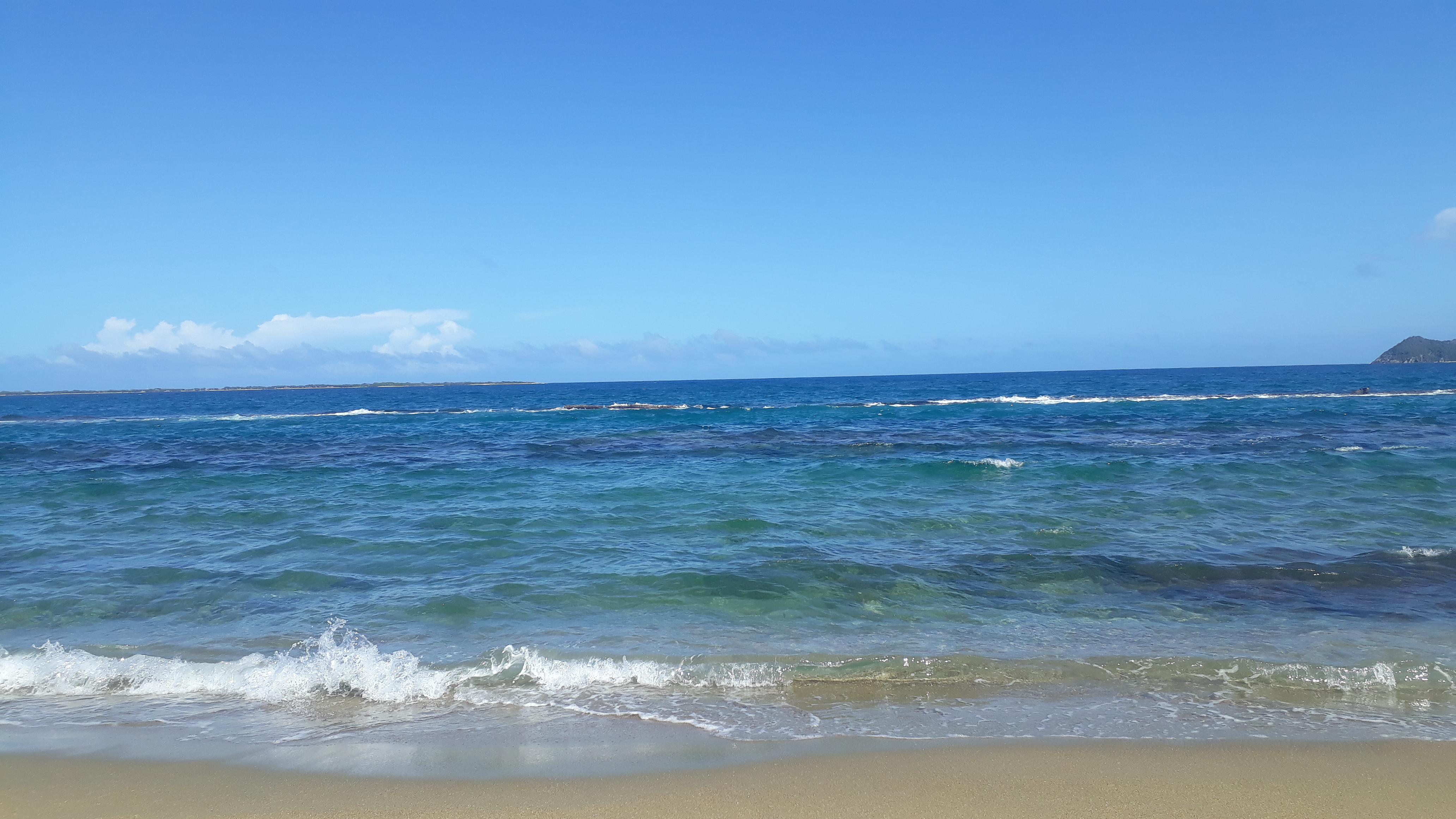20201222_132041.jpg