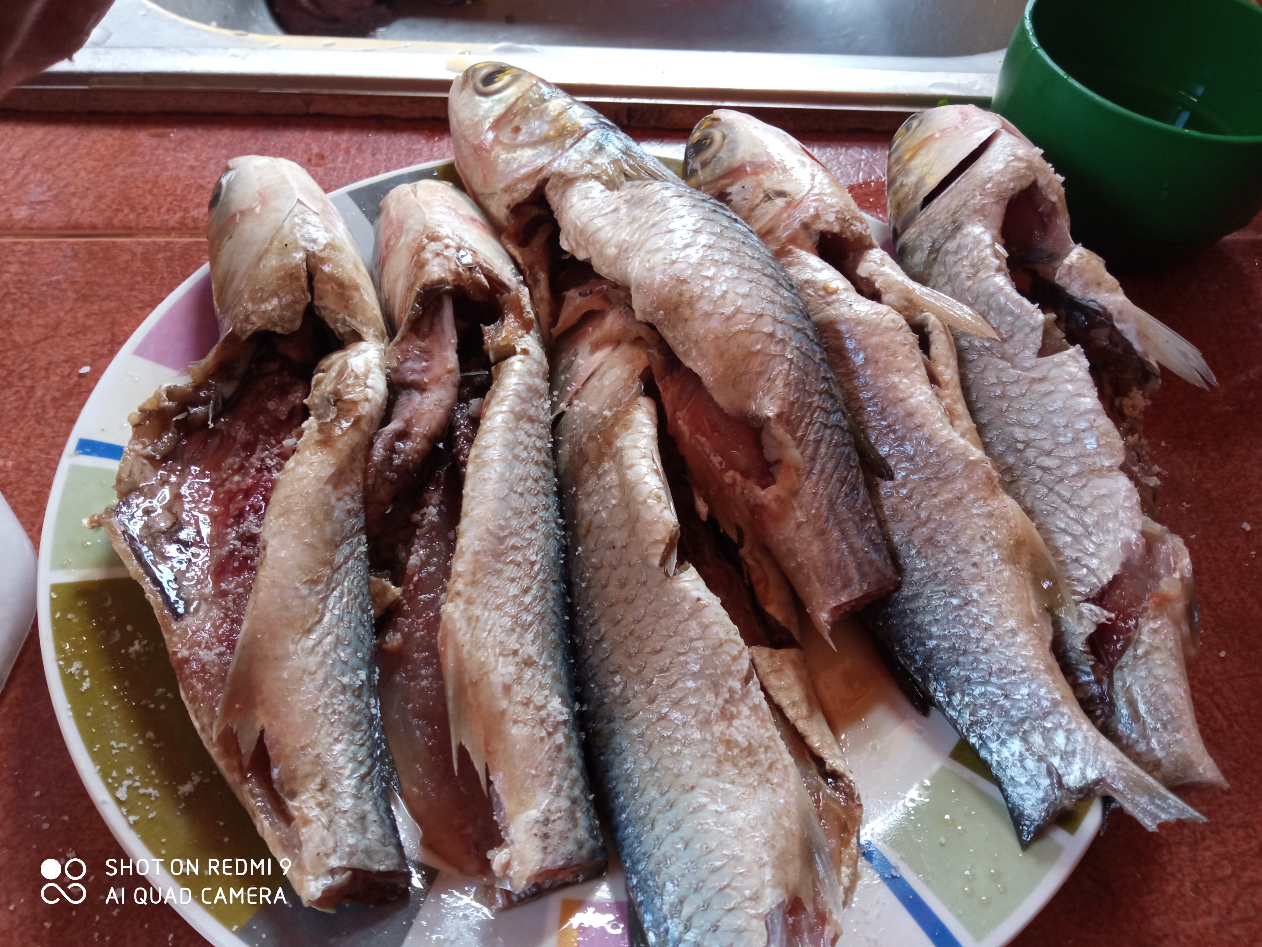 IMG_20210528_122326.jpg