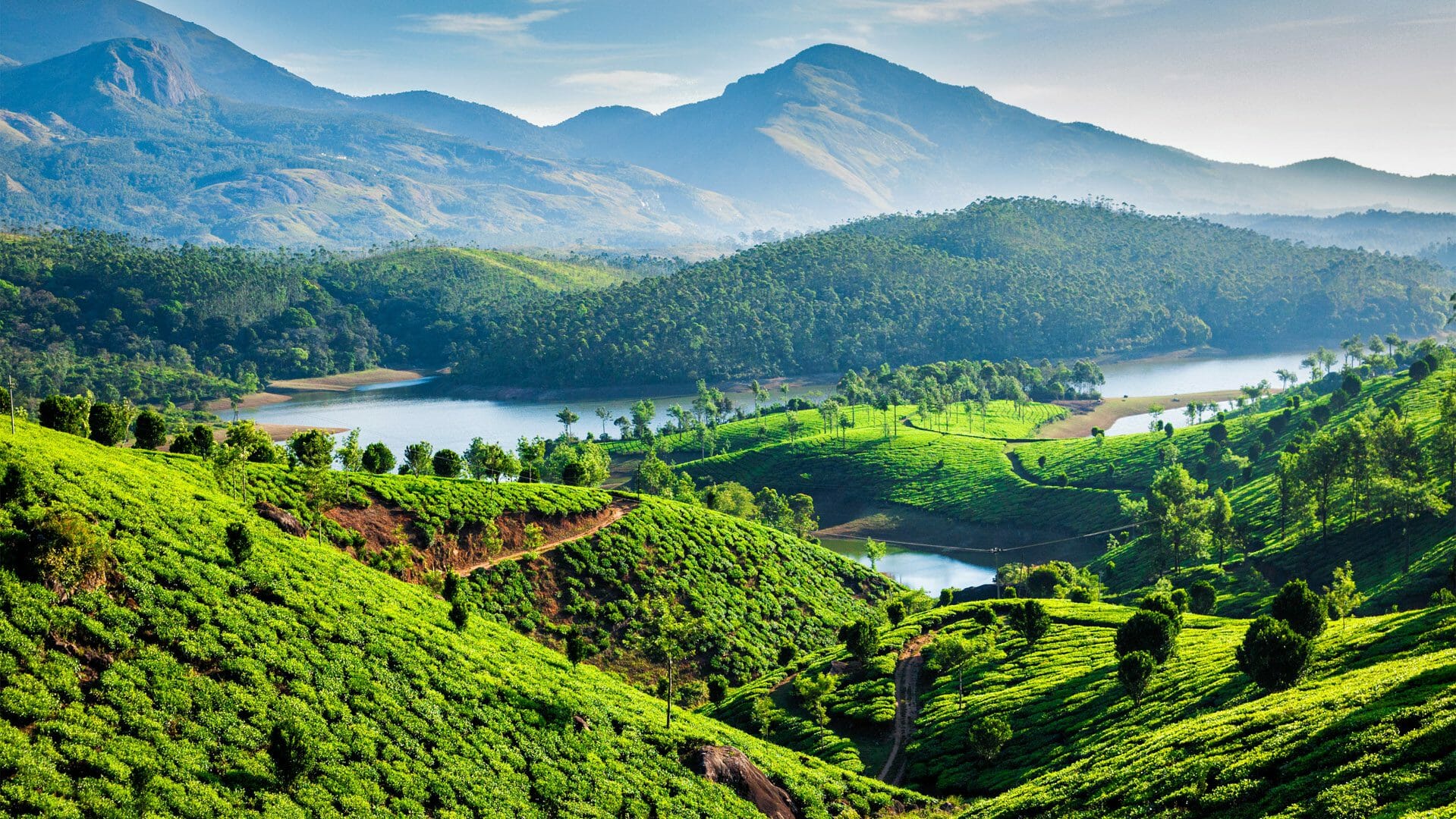 tea-estates-munnar-kerala-india-1919x1080-1.jpg