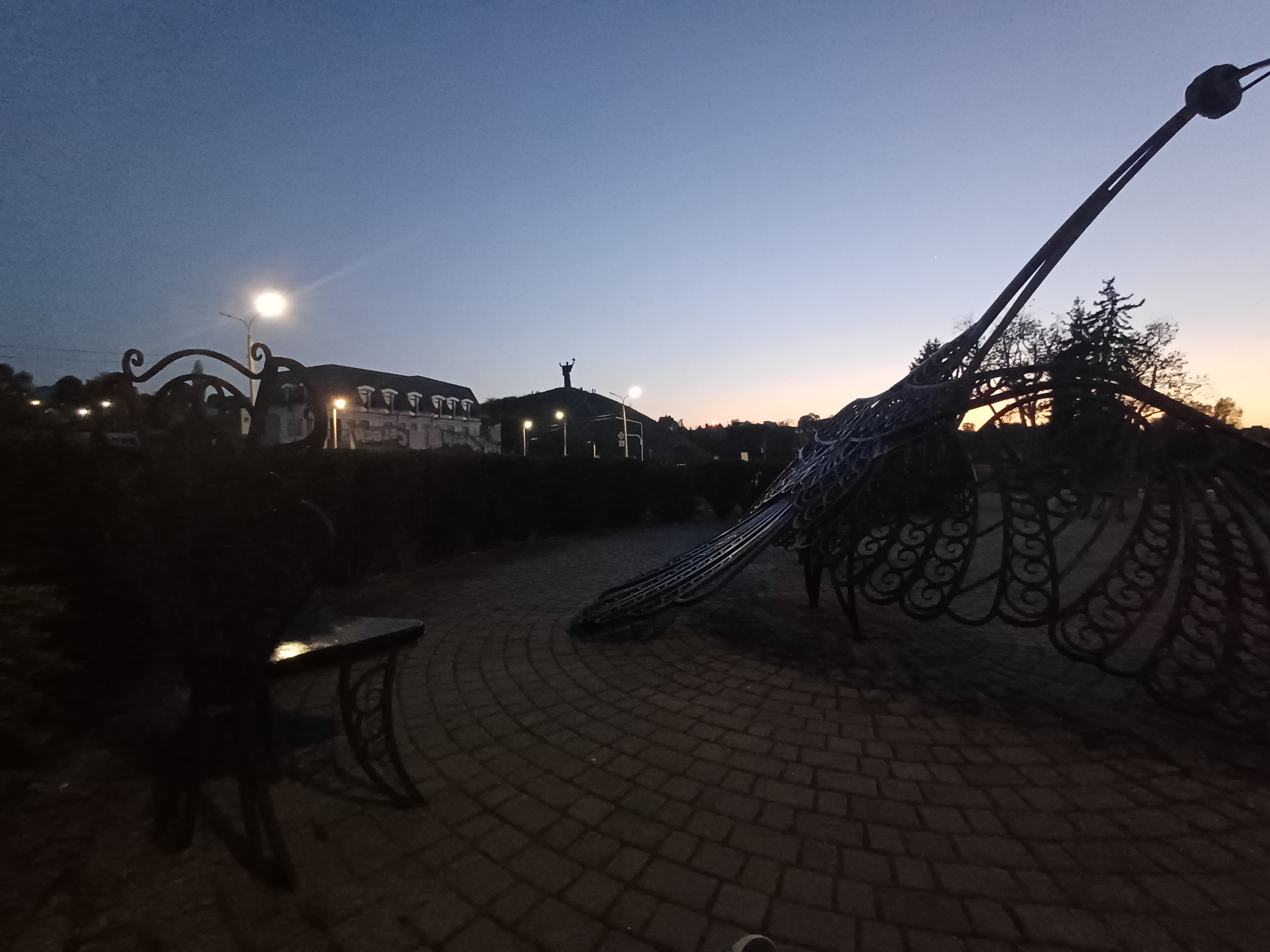 1000051265.jpg
