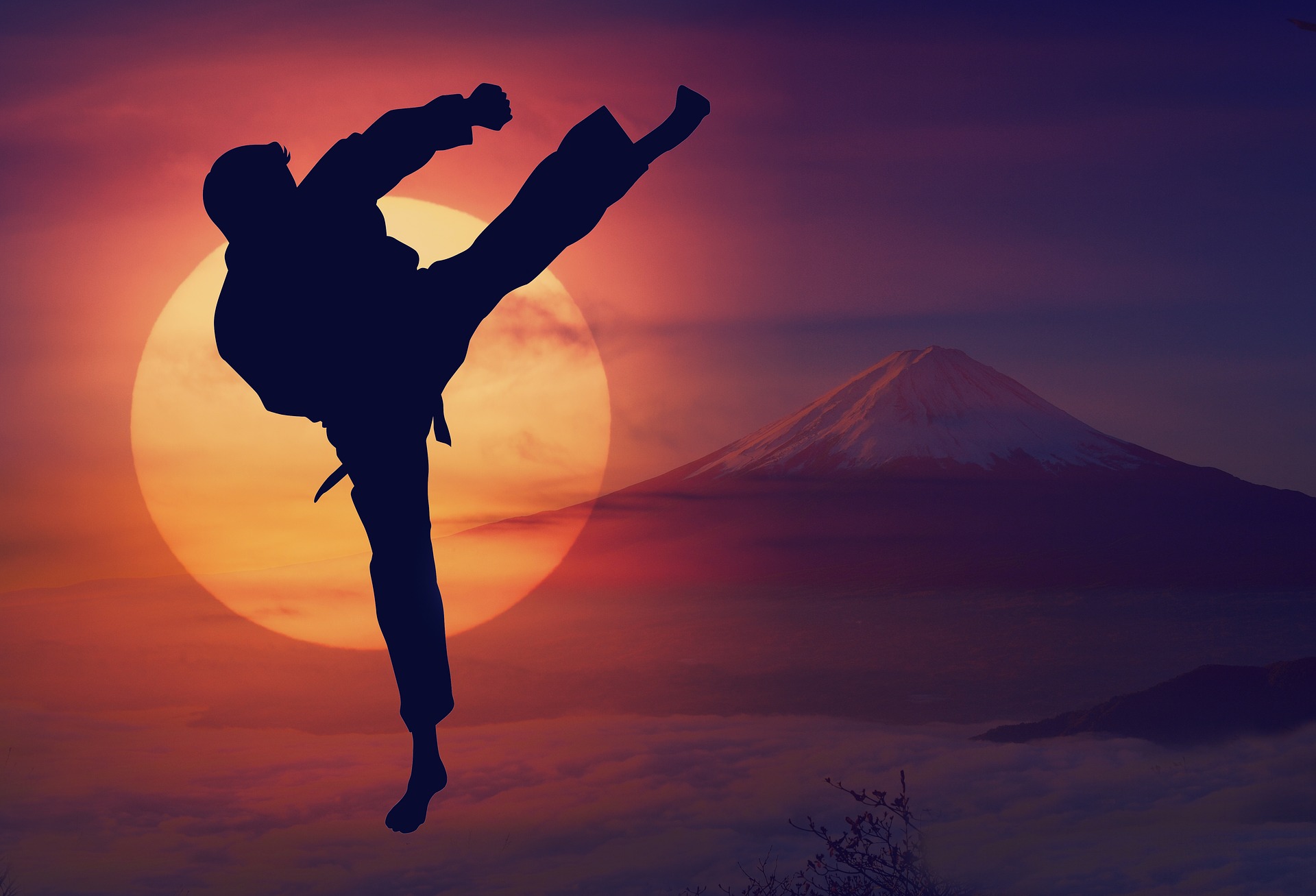 Karate Kick.jpg