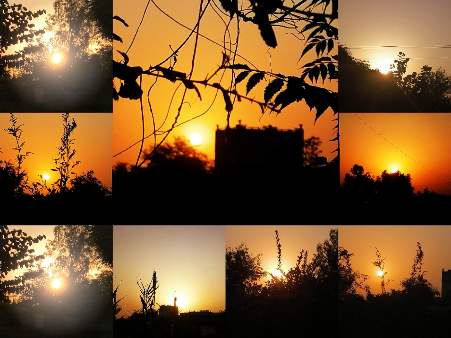 Collage_20210903_152530.jpg
