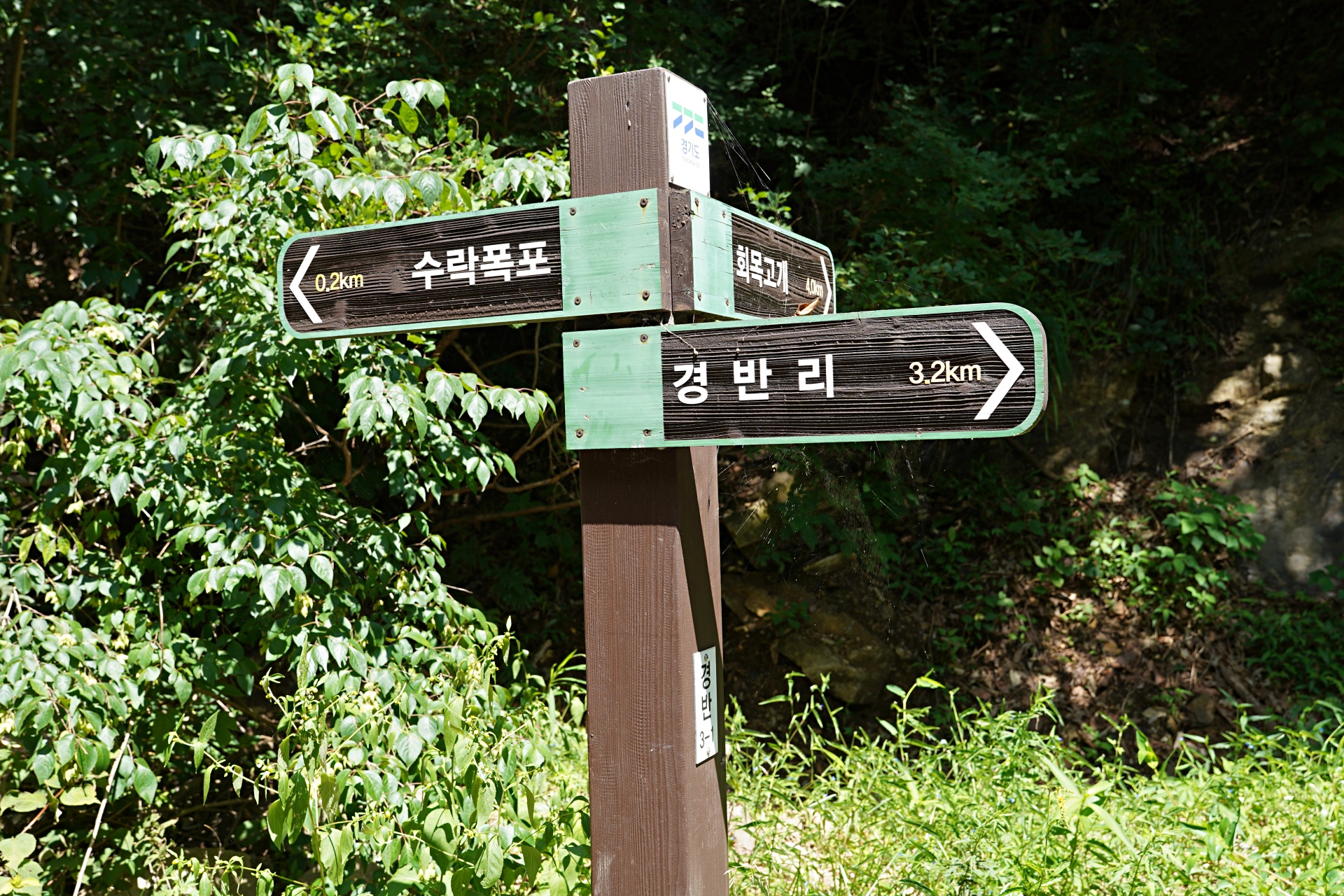 b-S260807-114625.jpg
