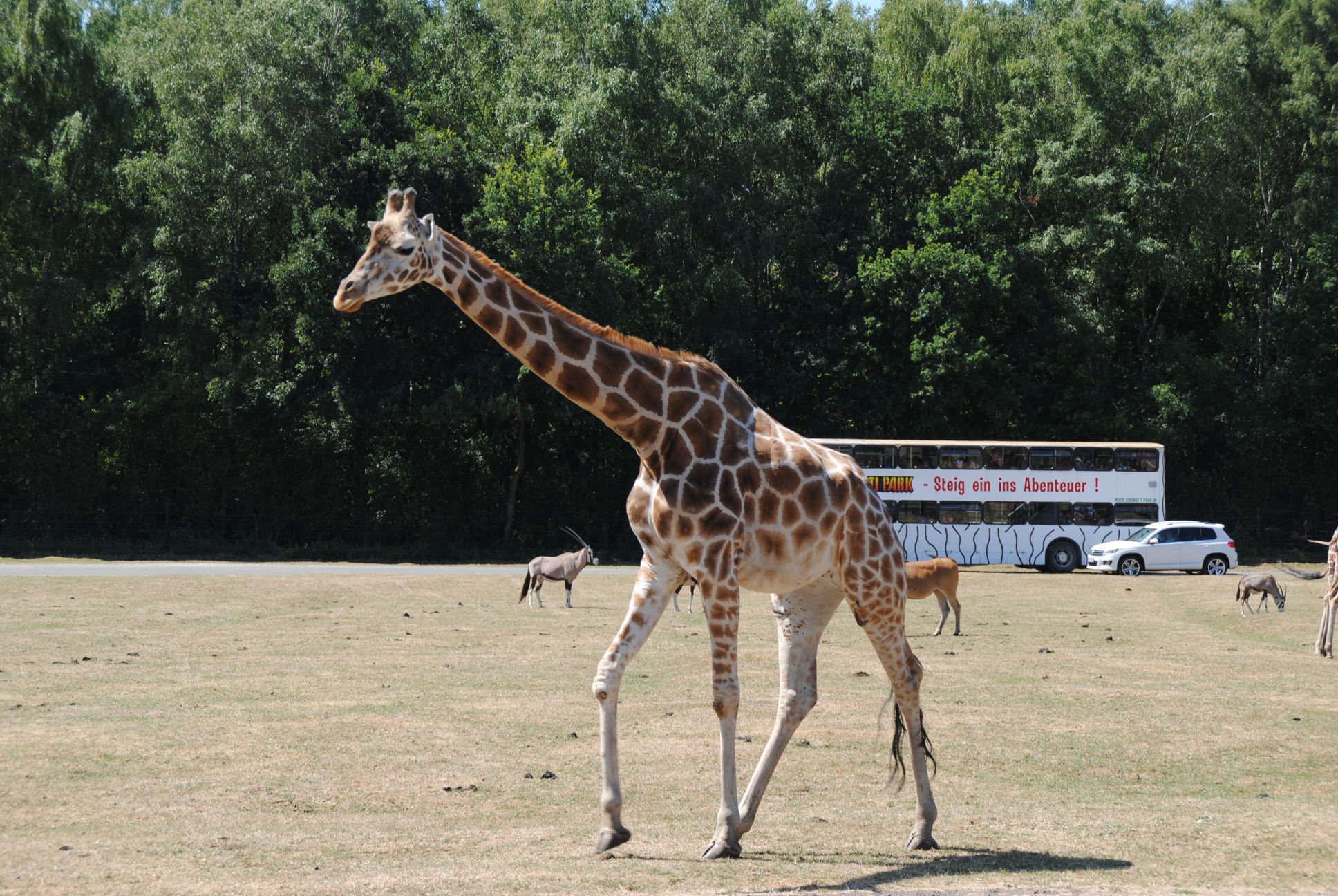 image088.jpg