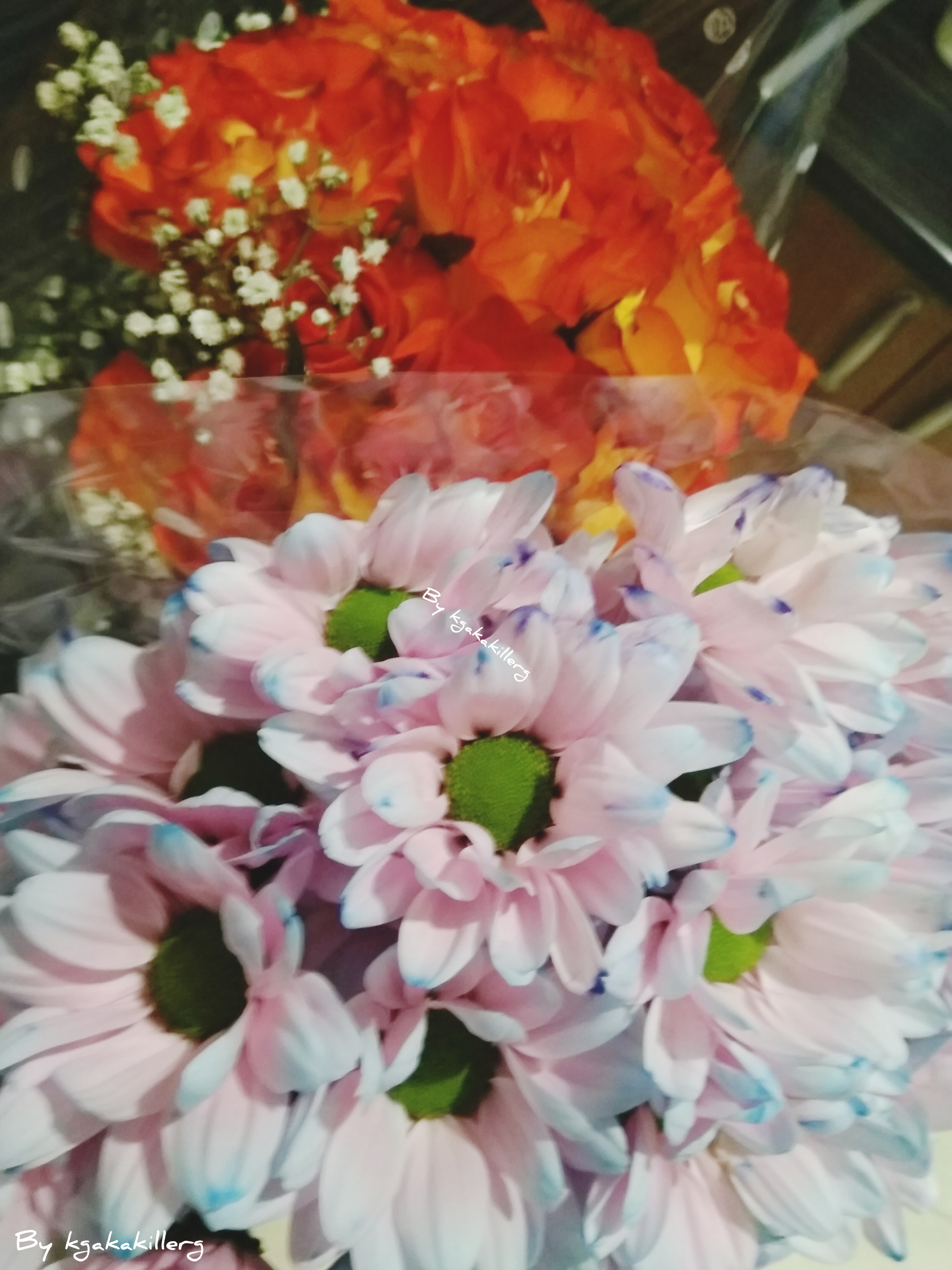InShot_20190912_122107906.jpg