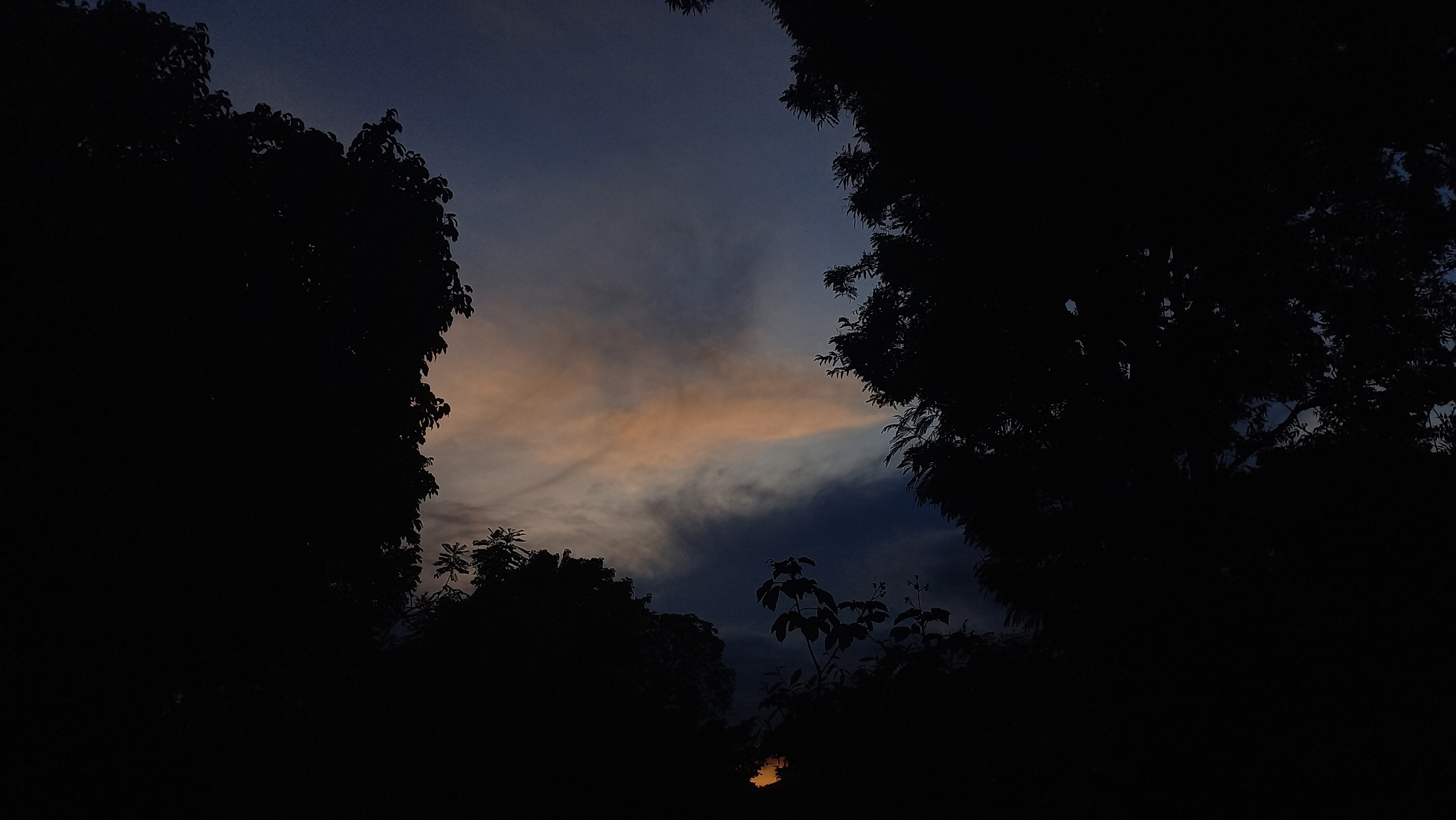 20231014_181052.jpg