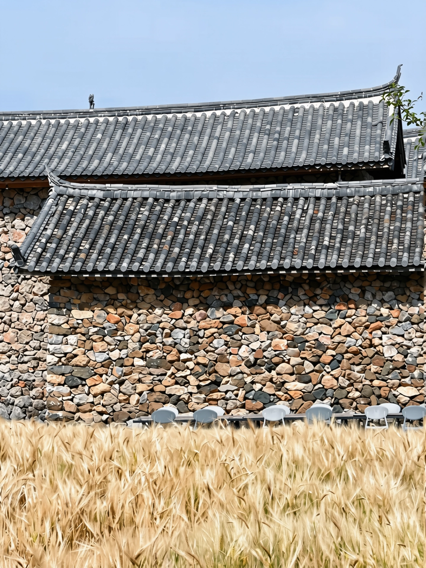 264.webp
