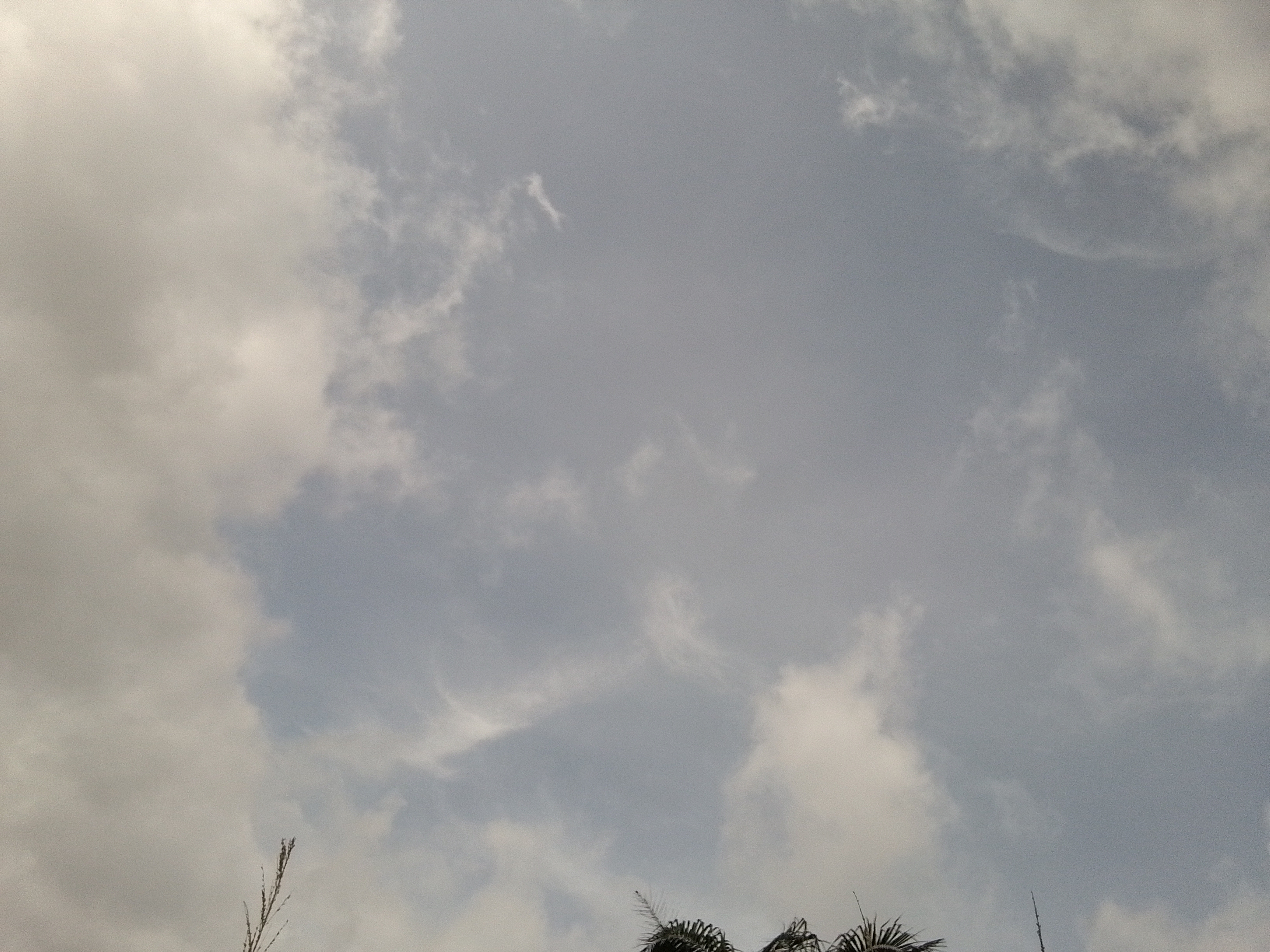 IMG_20260609_152031_253.jpg