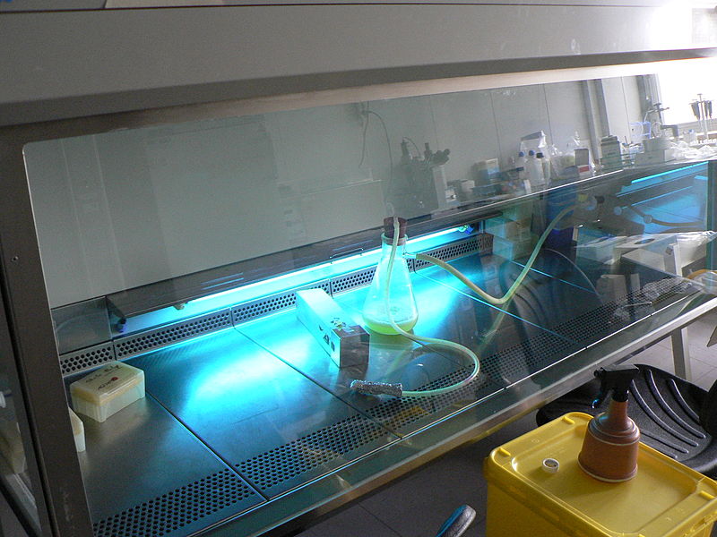 800px-UV-ontsmetting_laminaire-vloeikast.jpg