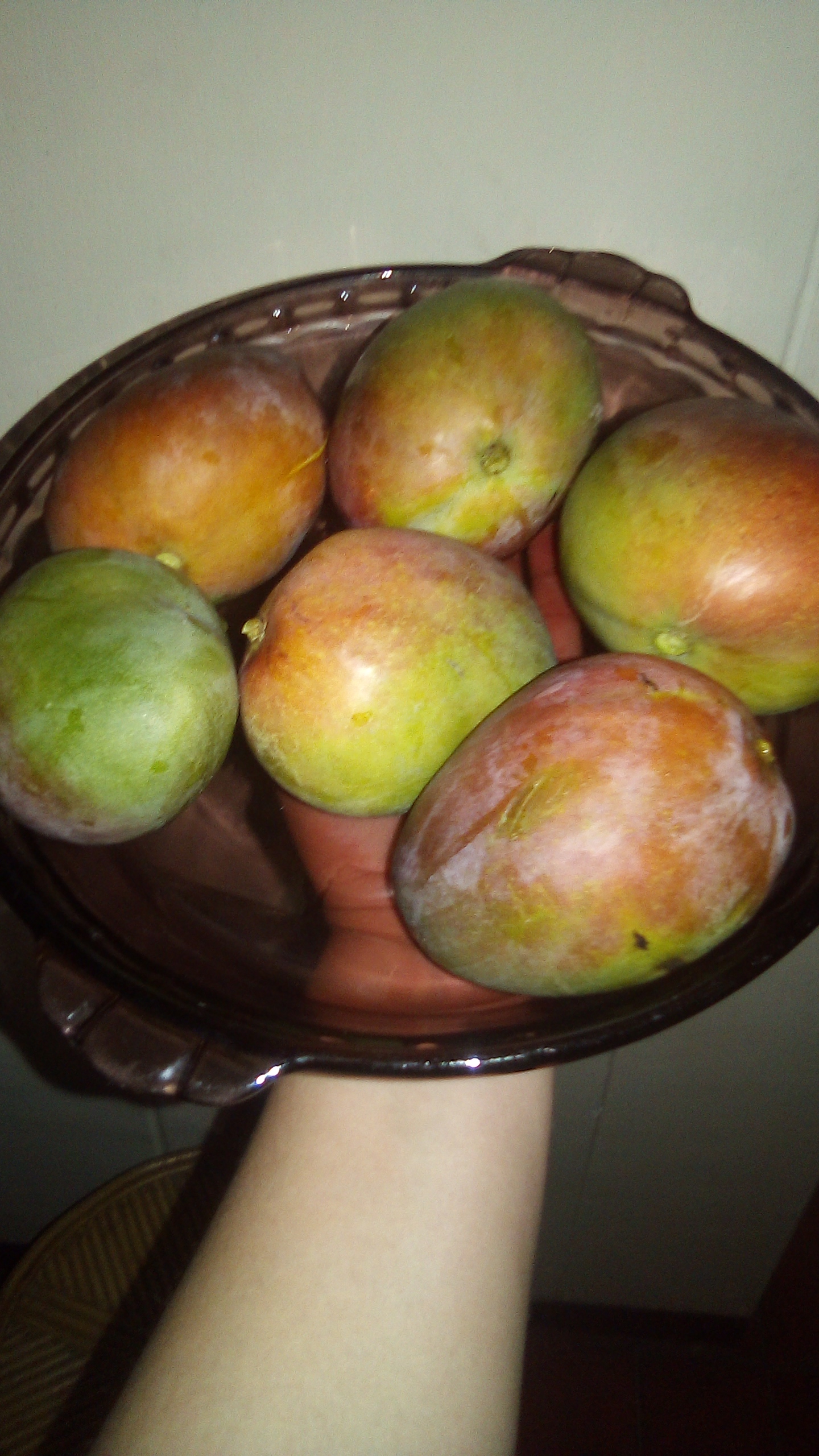 IMG-20210331-WA0010.jpeg
