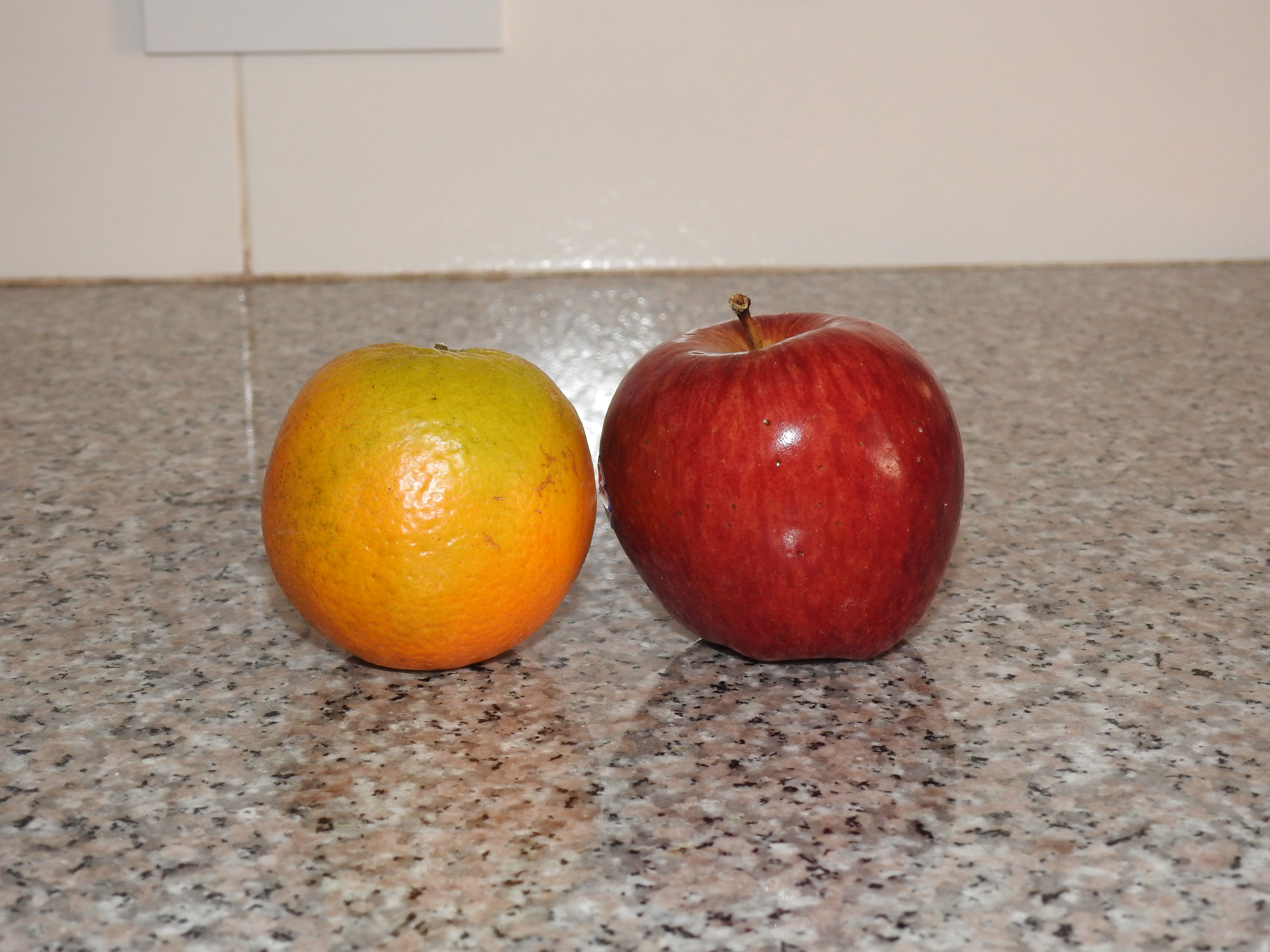 DSCN3385.JPG