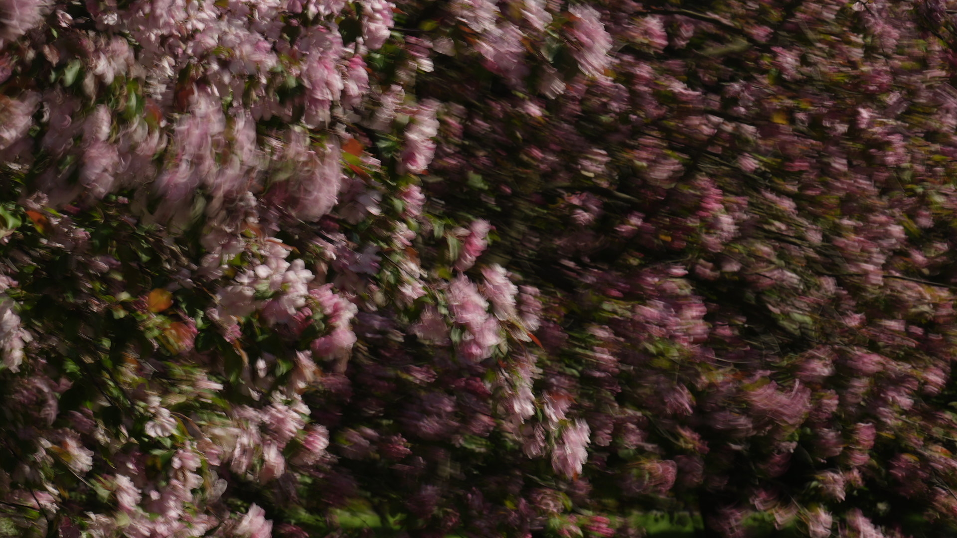 DSC05726.jpg