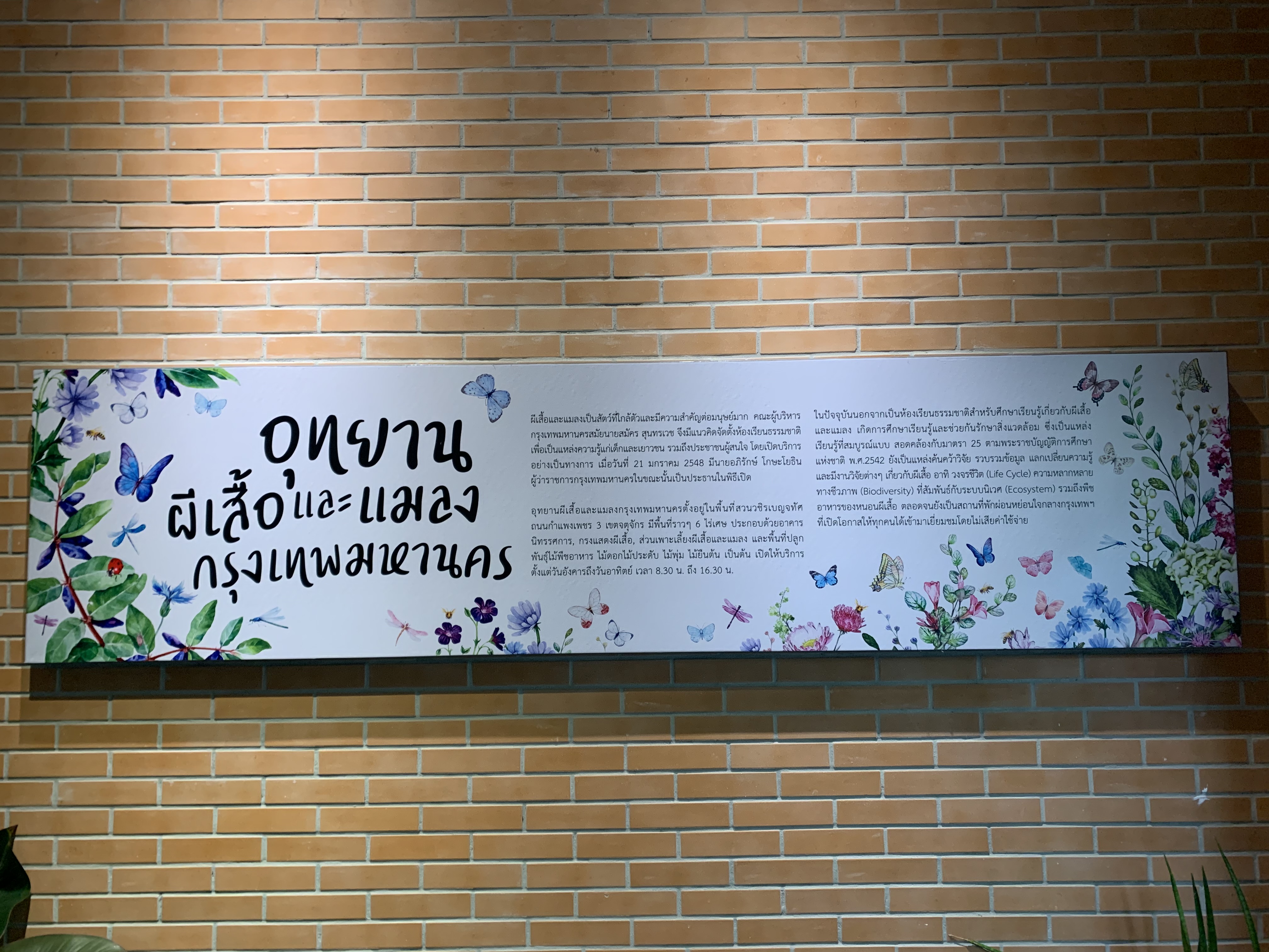 Bangkok Butterfly Garden & Insectarium105.jpg