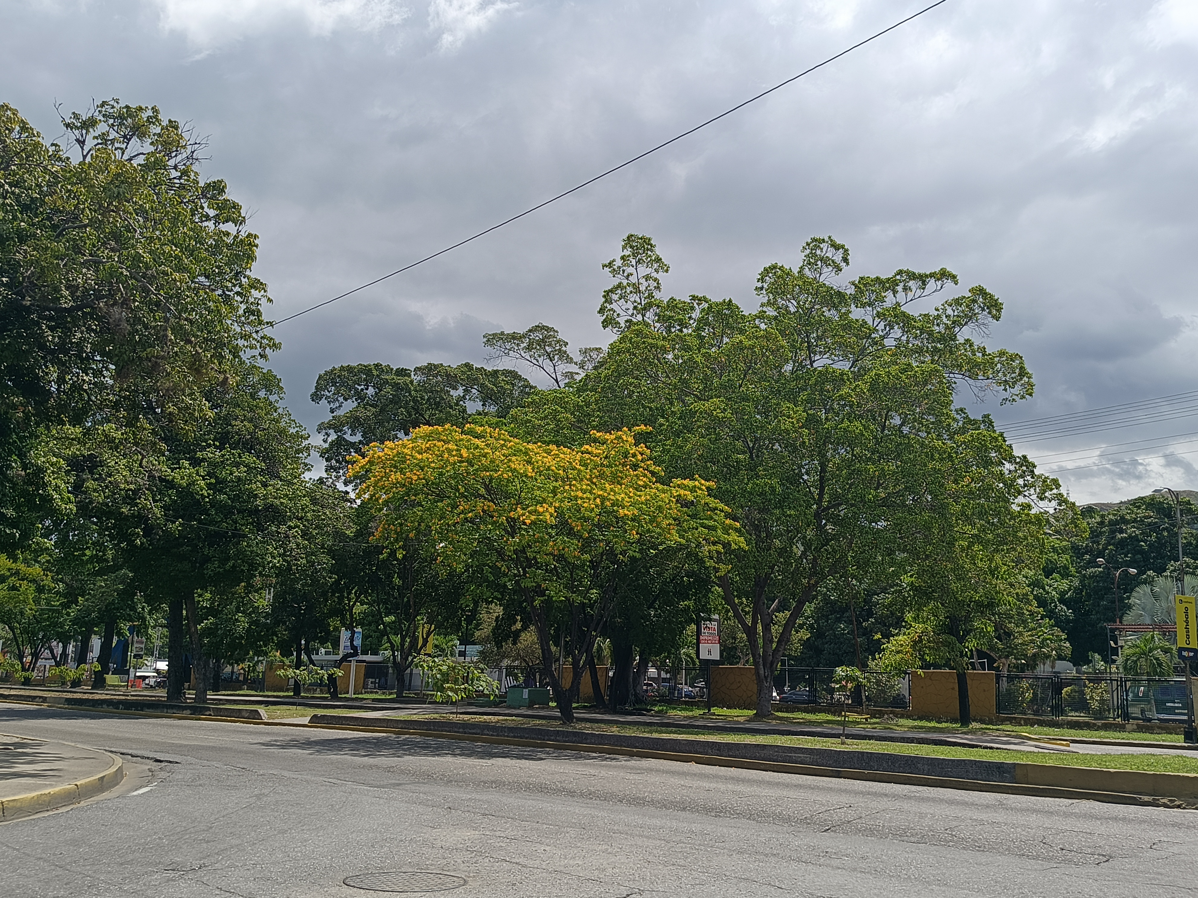 1001419656.jpg