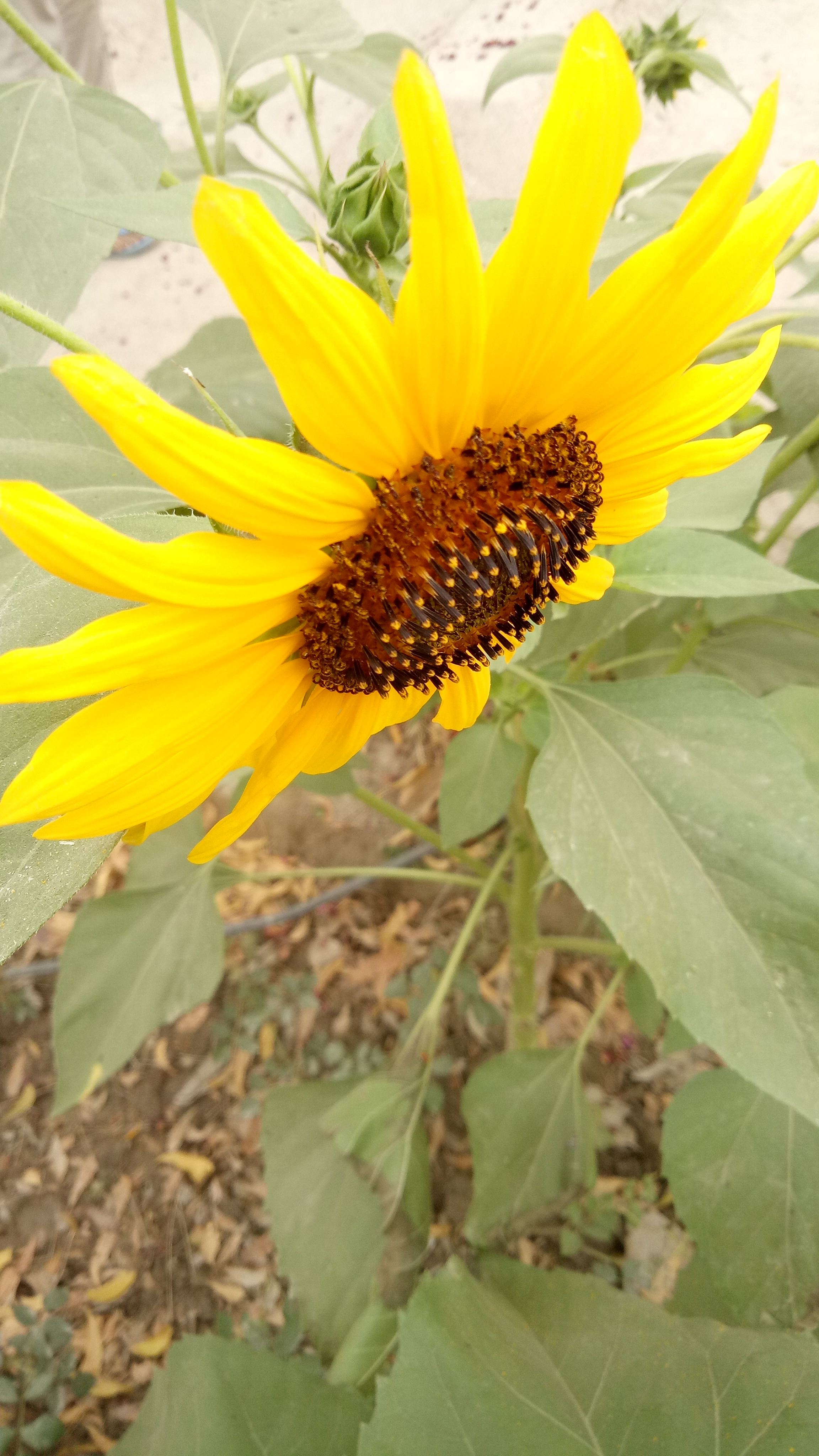 IMG20210416113019.jpg