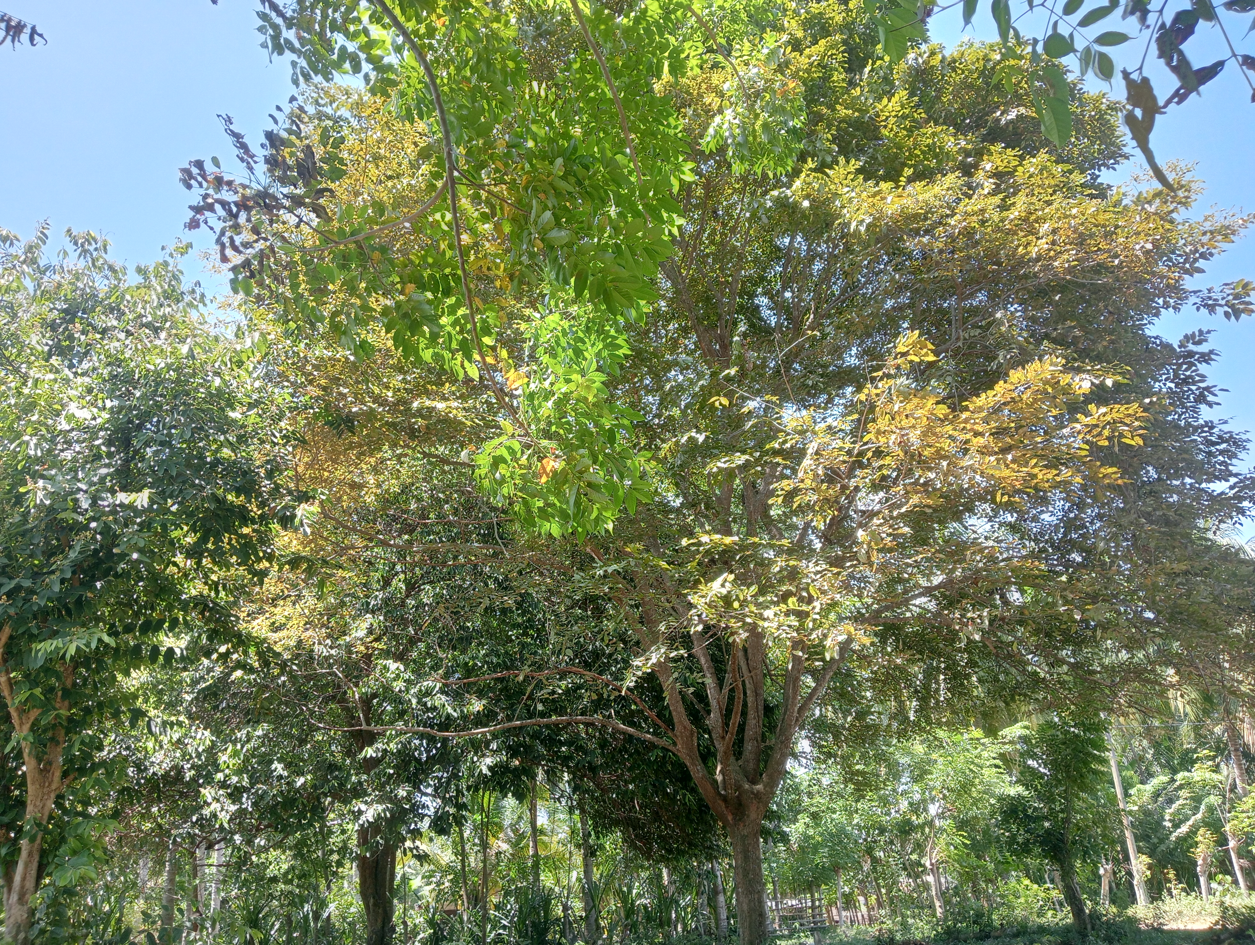 IMG20260528115713.jpg