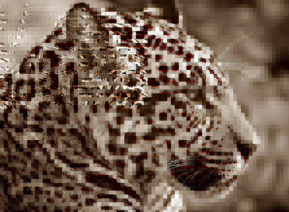main_image