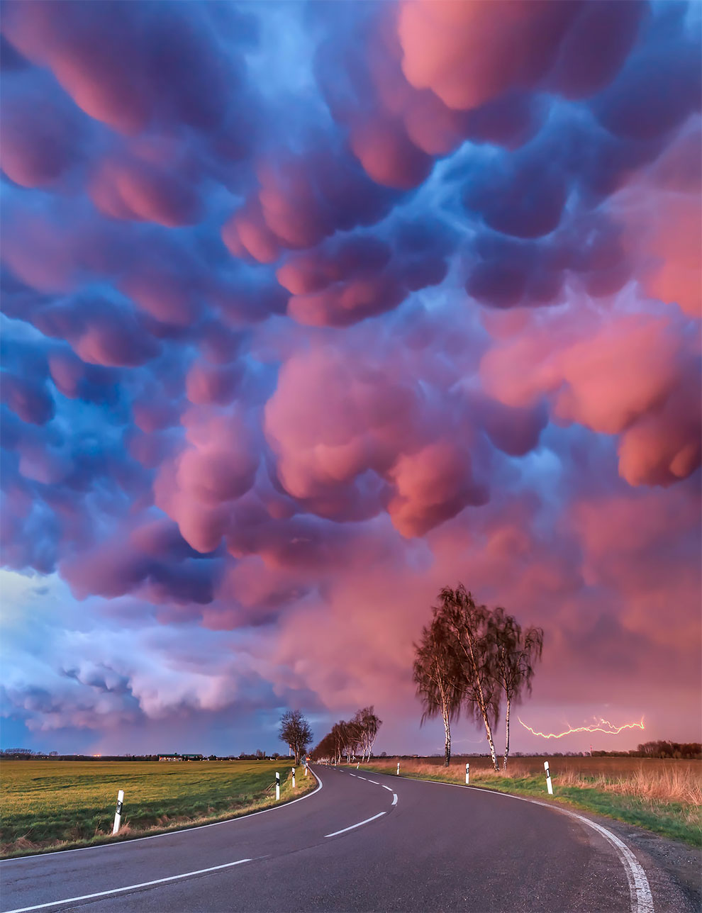 weatheraward-fubiz-7.jpg