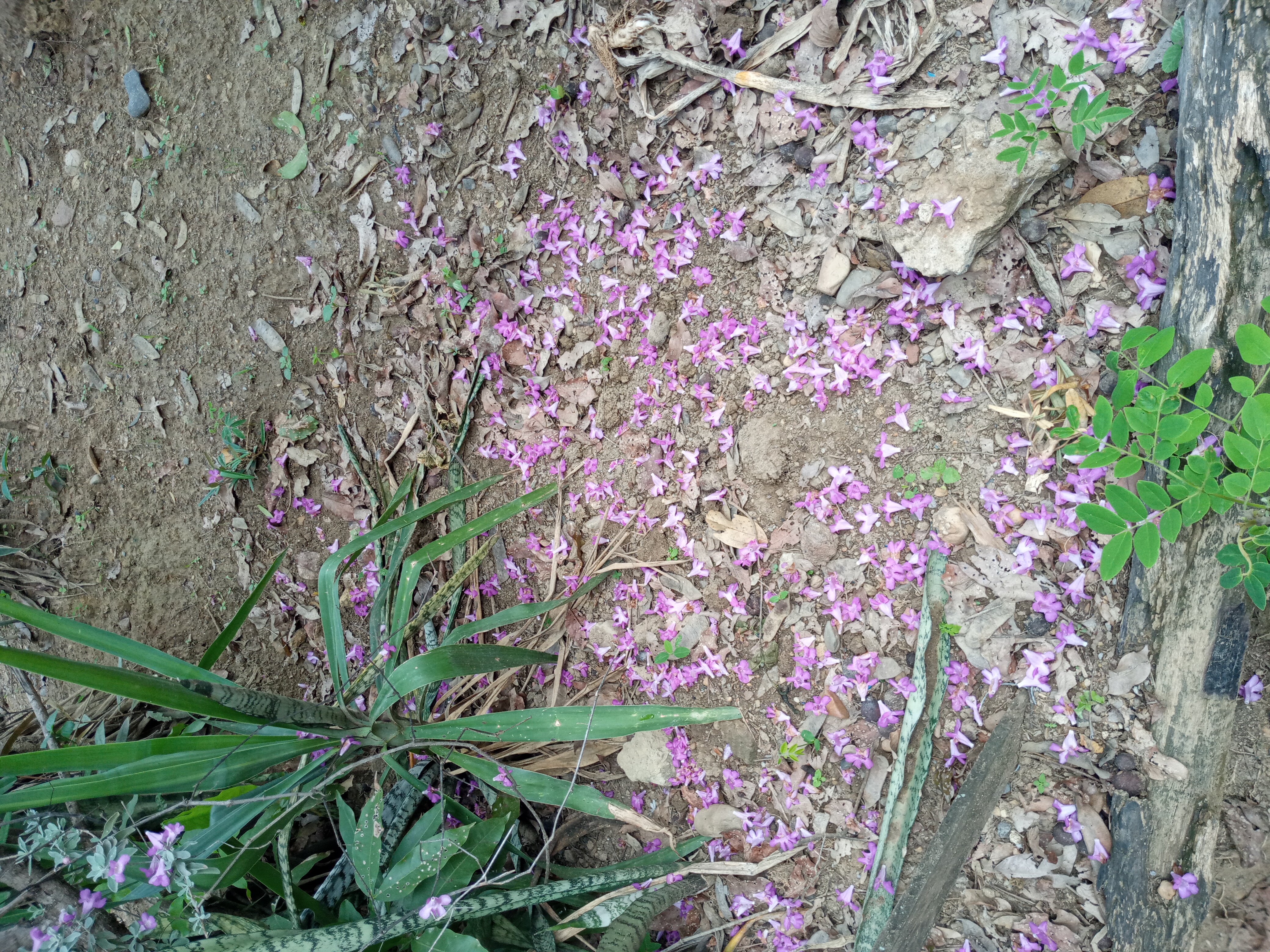 20220621_095947.jpg