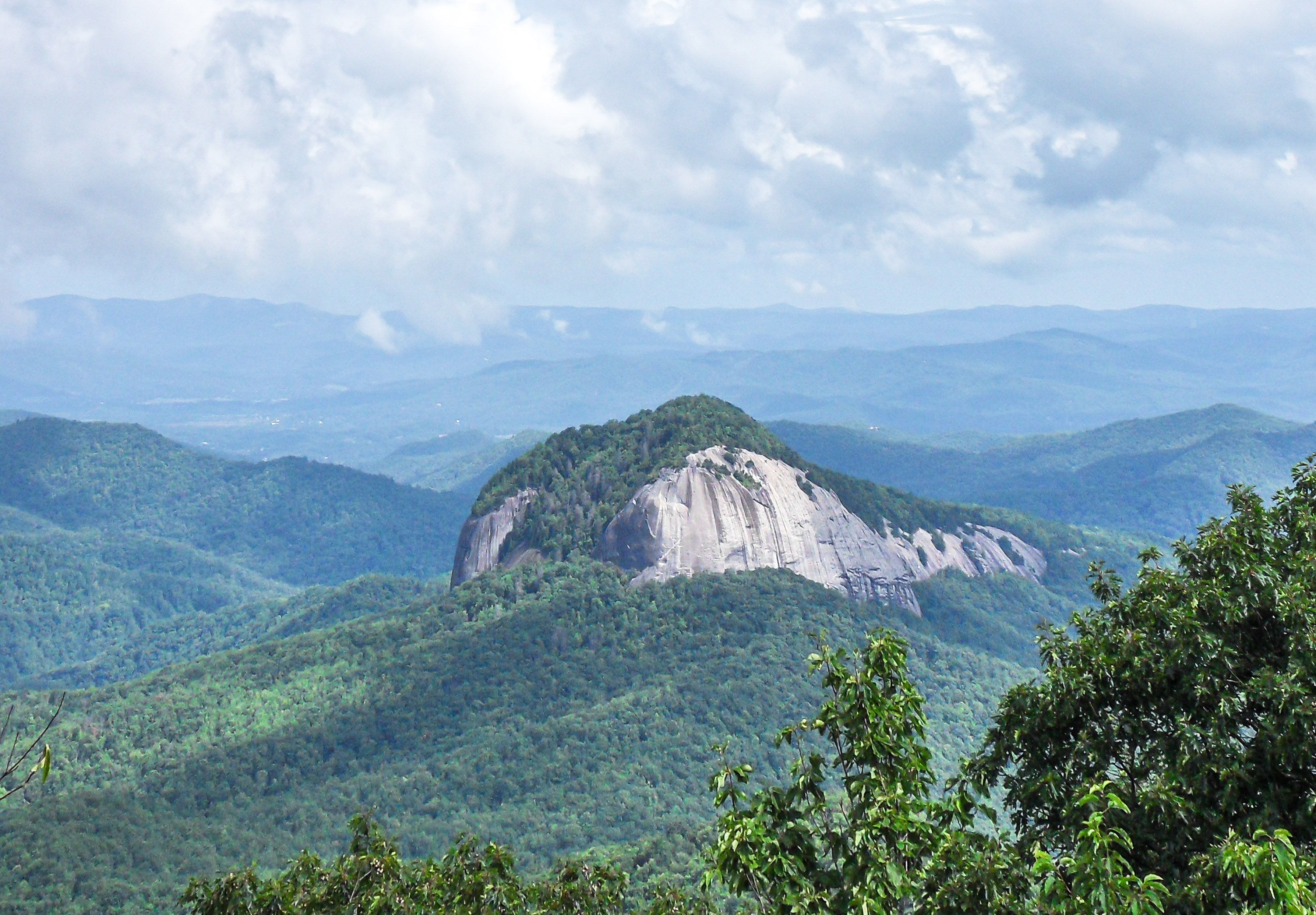 2010 Photography Collection - My First Images From My First Camera 10 Years Ago