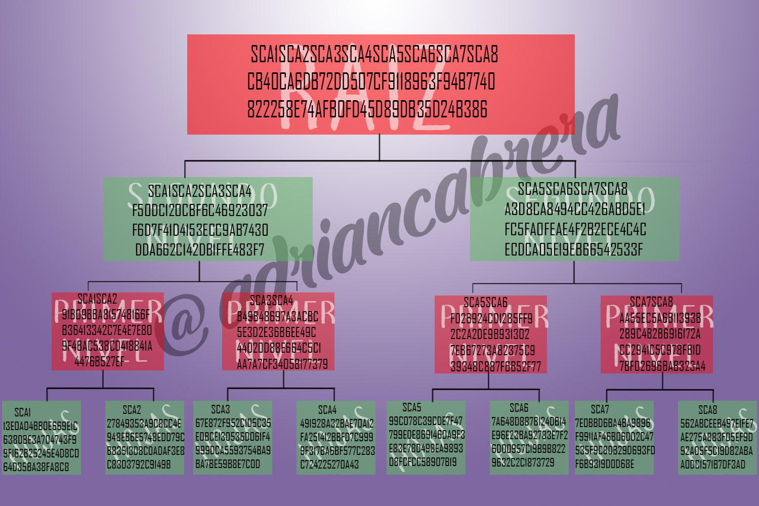 Arbol-Markle-2-Adrian-cabrera.png