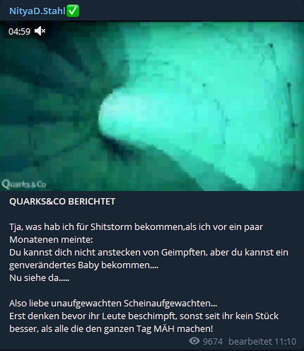 Quarks.jpg