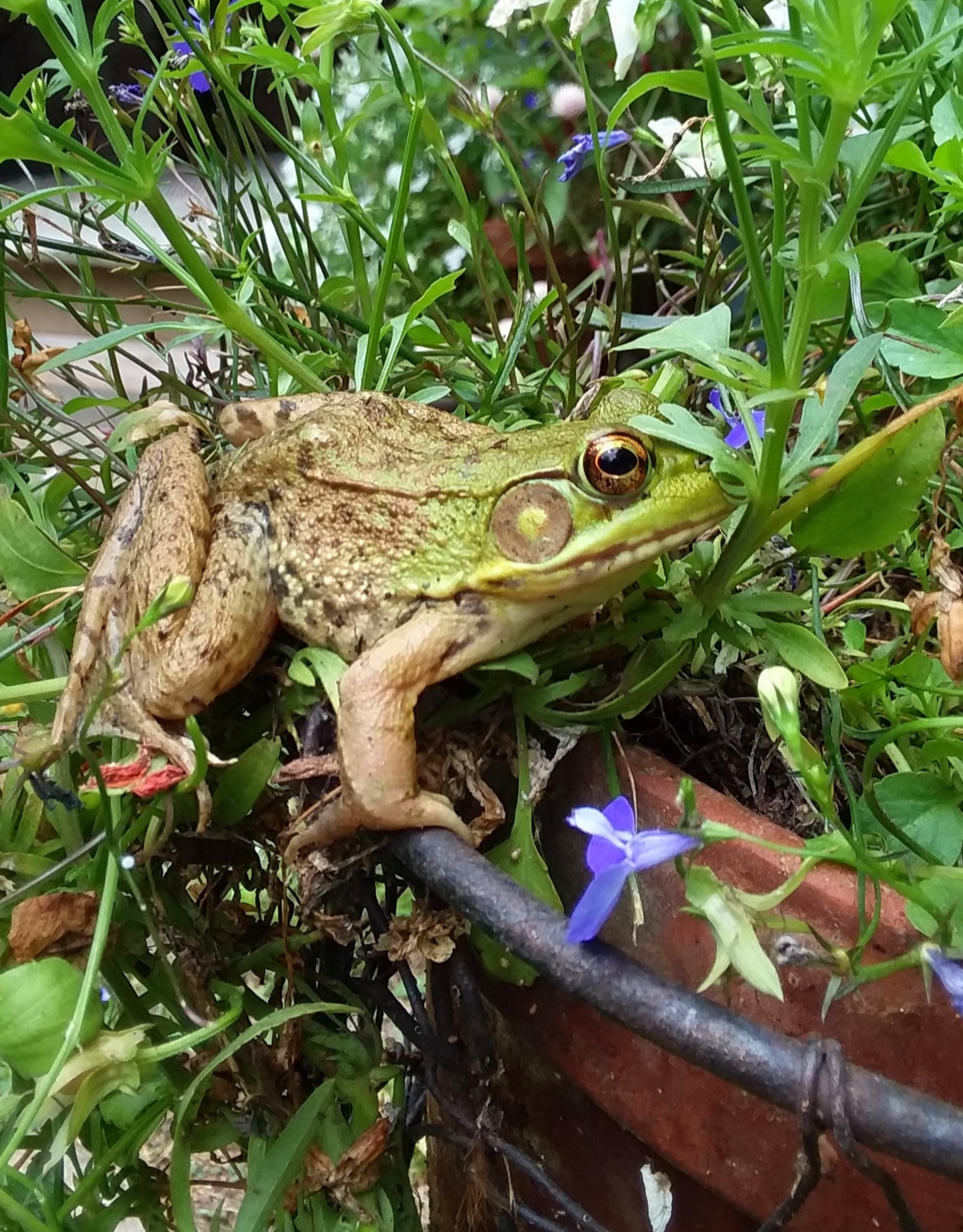 20190911_164142.jpg