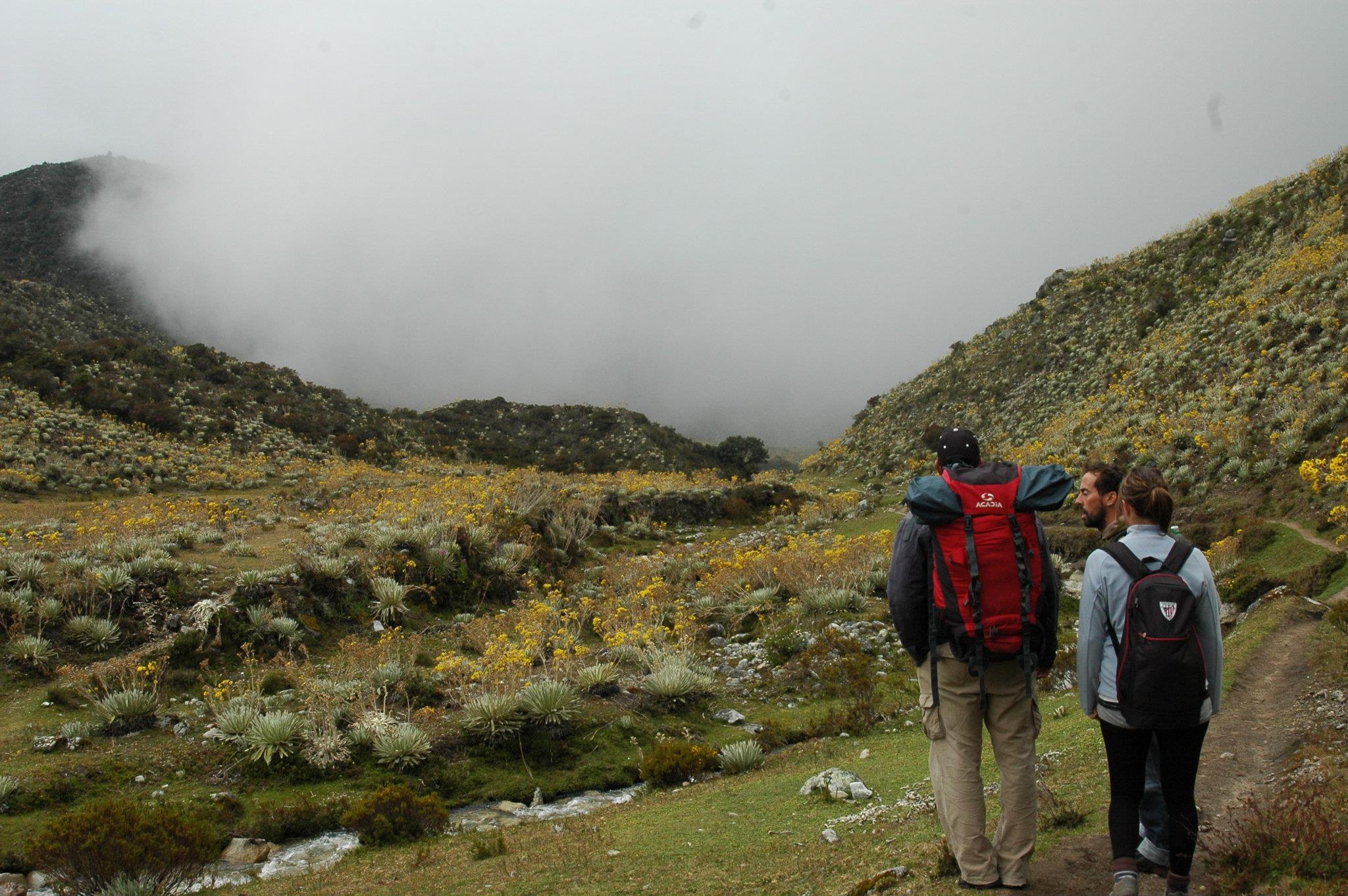 Treking.jpg