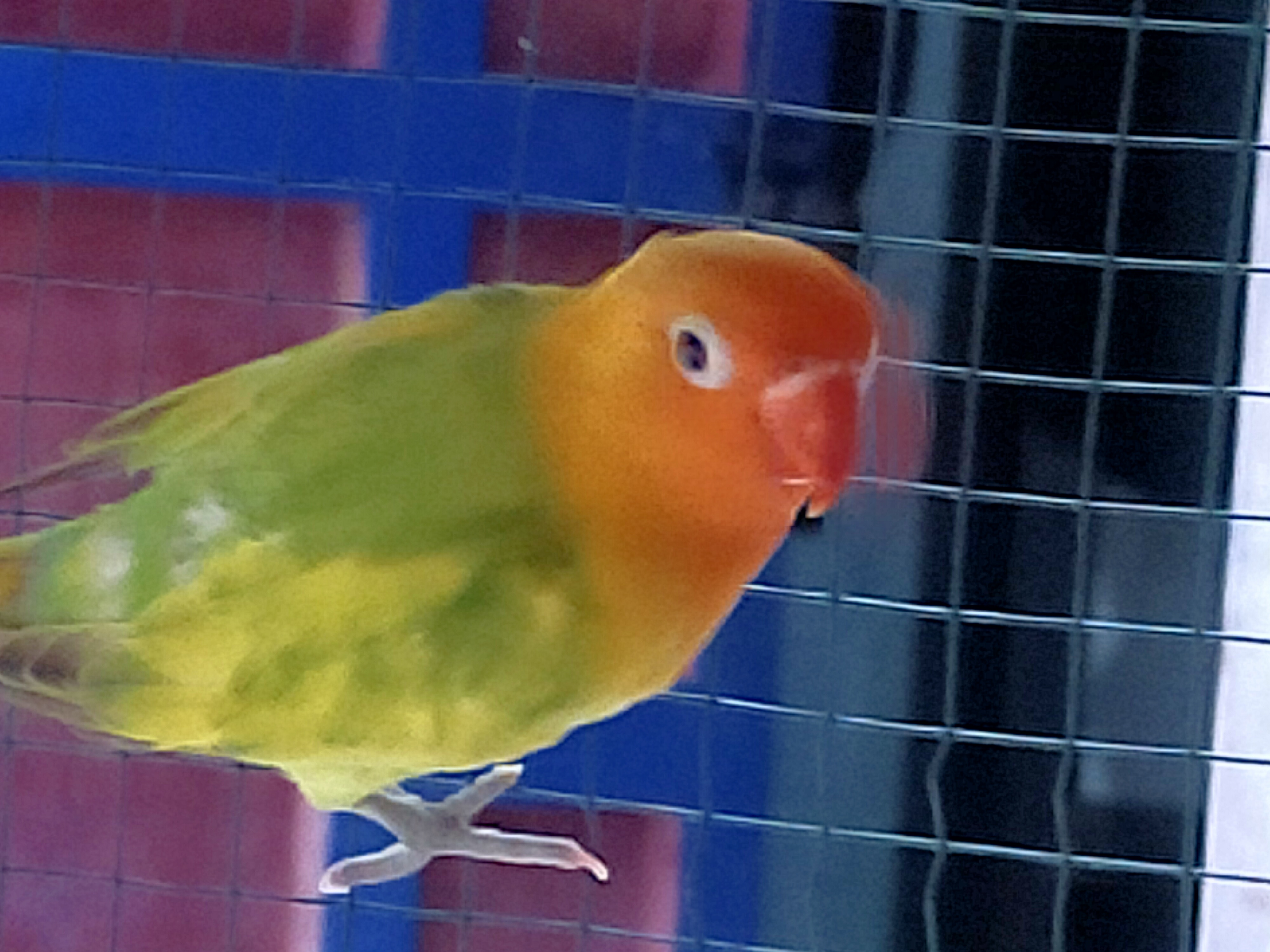 IMG20220214182927.jpg