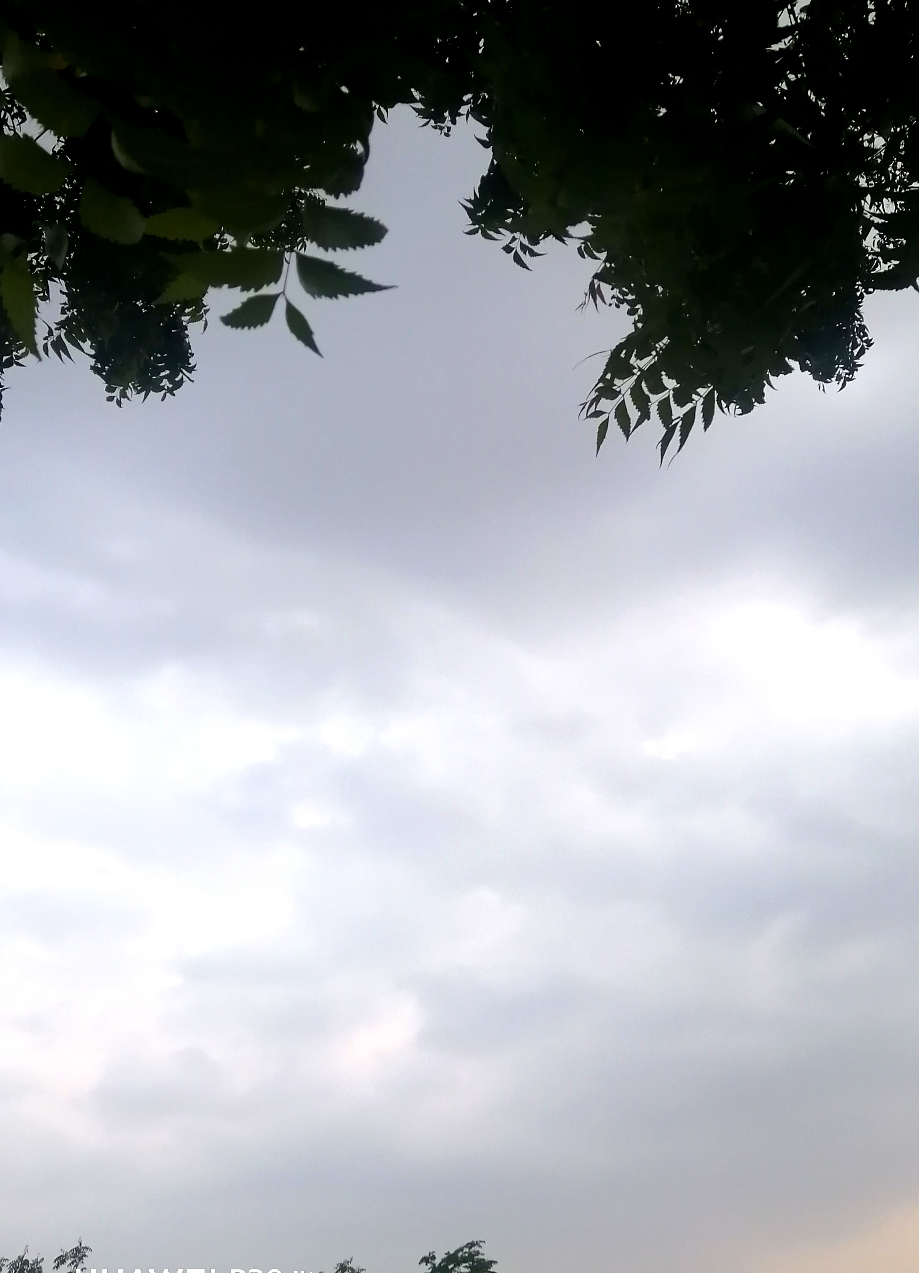 IMG_20200828_190622.jpg